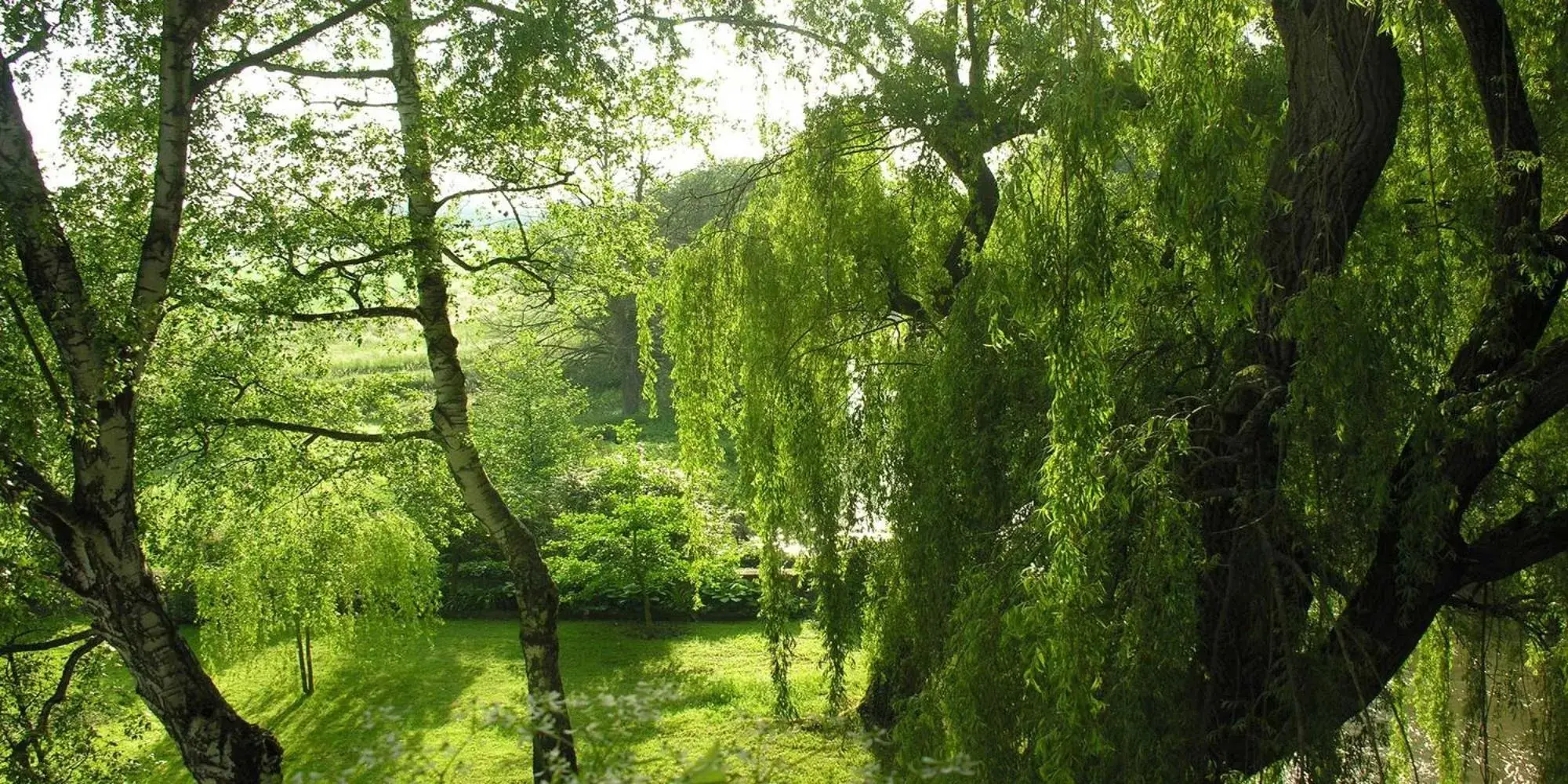 Natural landscape, Garden in Hôtel-SPA Le Moulin De La Wantzenau - Strasbourg Nord