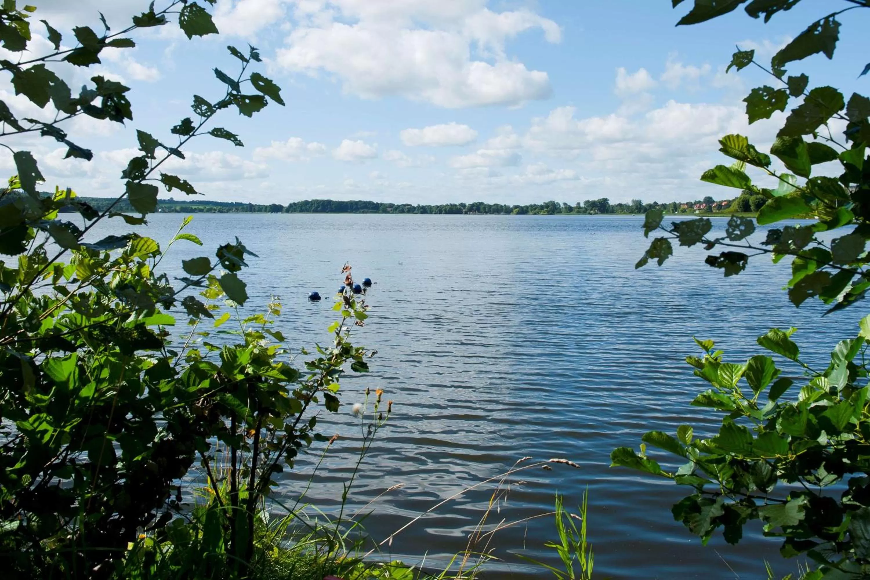 On site in Golf Hotel Viborg