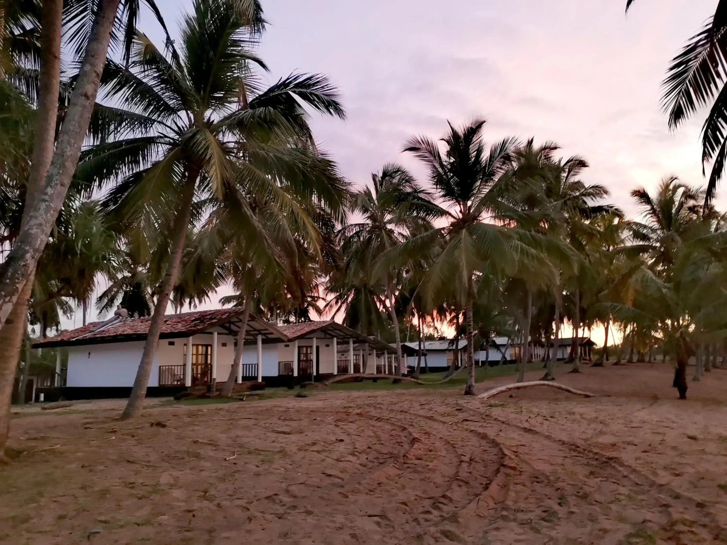 Garden, Beach in Helios Beach Resort