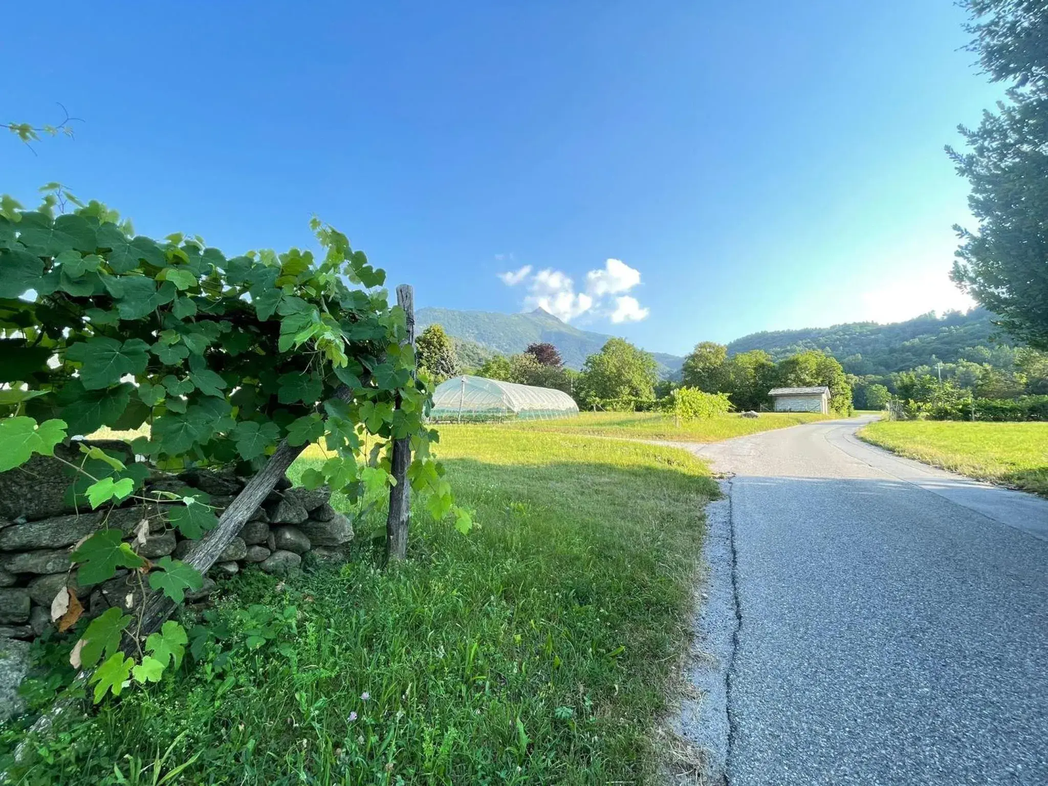 Natural landscape, Garden in AGRITURISMO IL SOGNO DELLA VITA RESORT