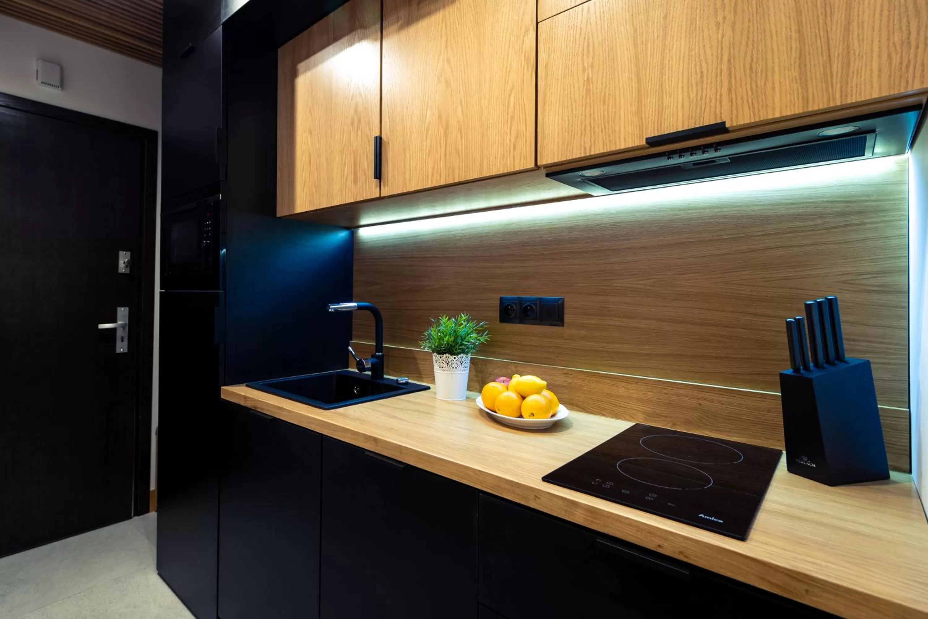 Kitchen or kitchenette, Kitchen/Kitchenette in Jagiellońska Residence