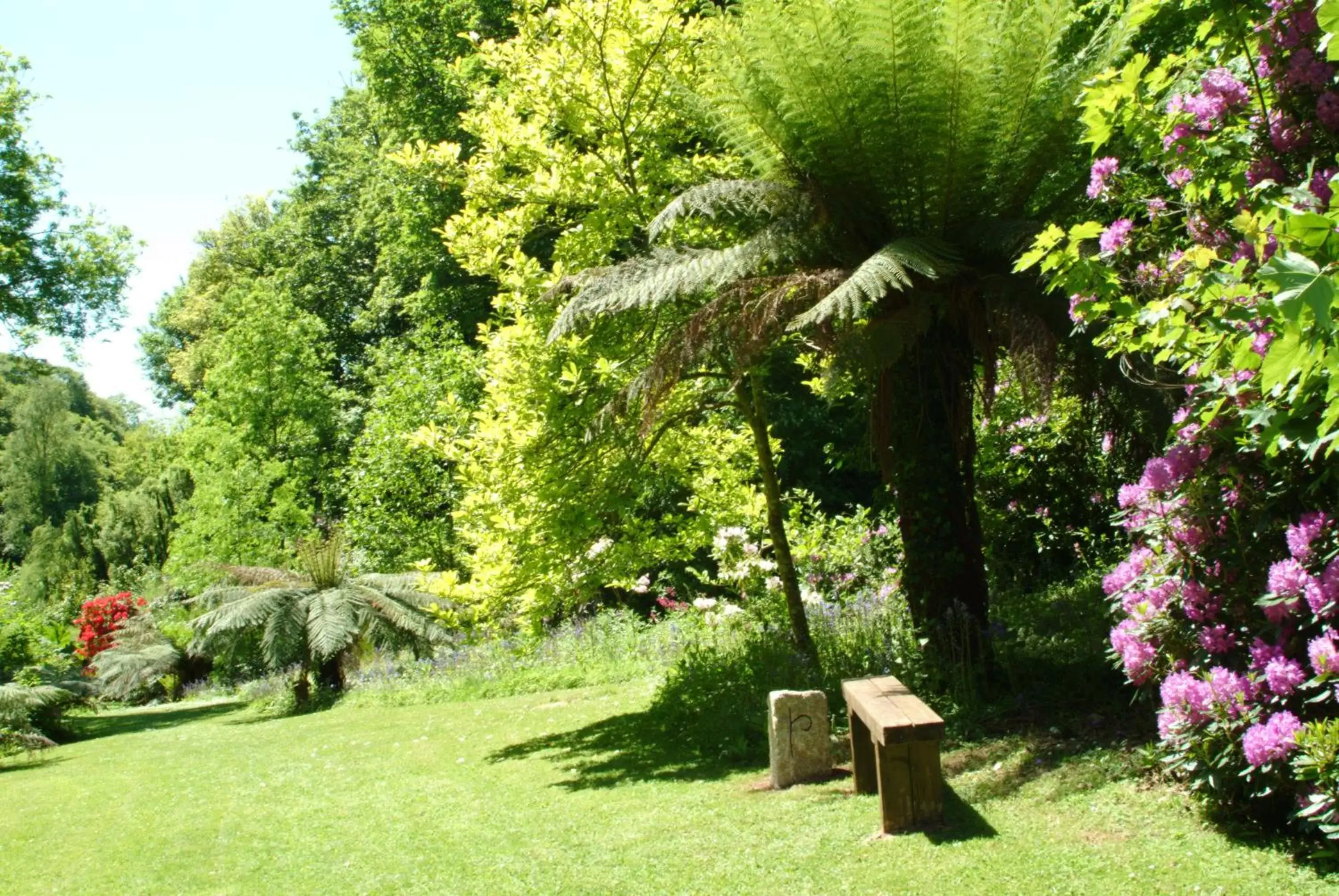 Garden in Budock Vean Hotel