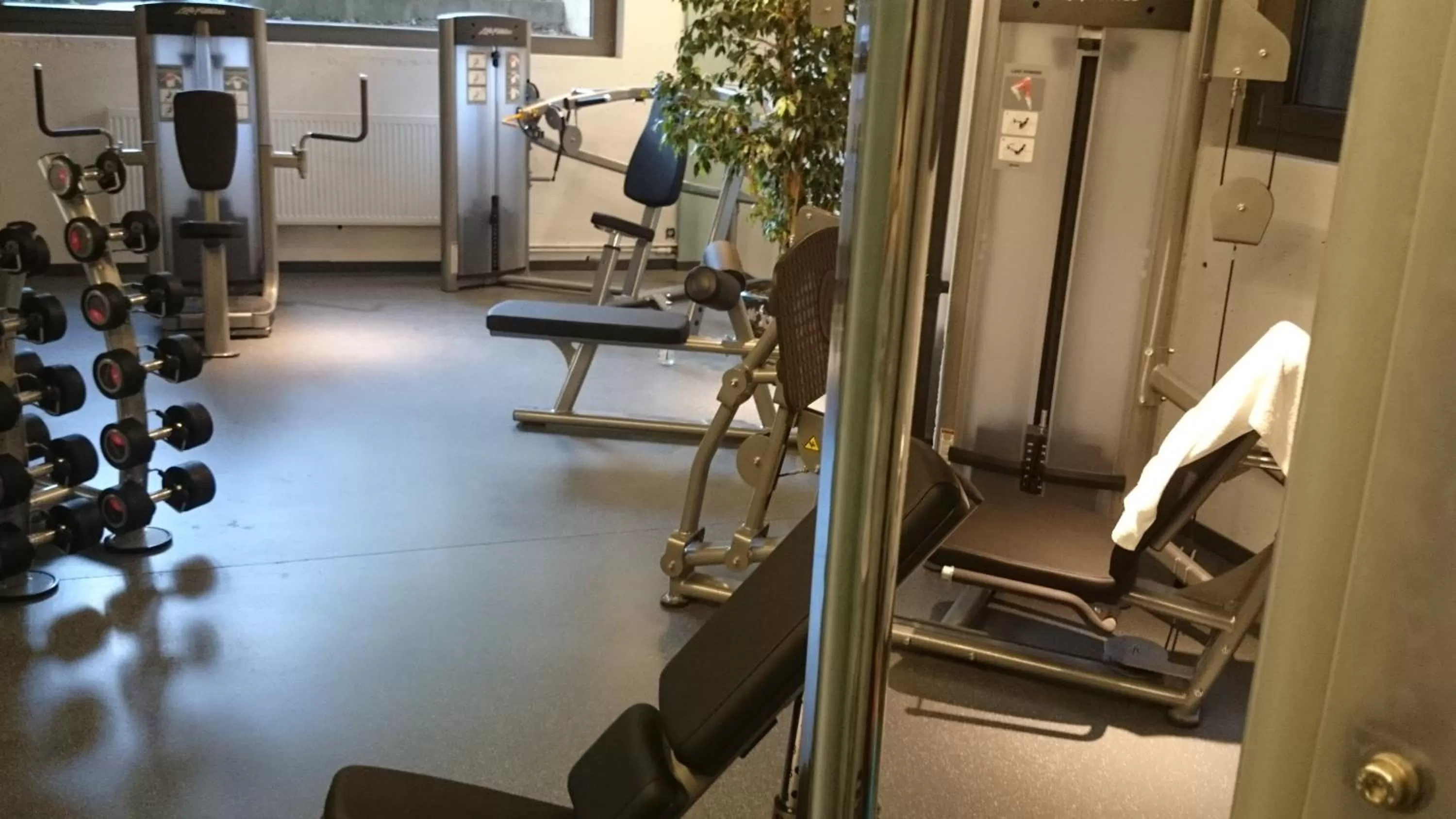 Fitness centre/facilities in Das Eckert - Lifestyle Design Hotel & Fine Dining bei Basel (Grenzach)