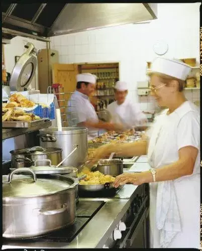 Staff, Kitchen/Kitchenette in L'Hôtel des Bords de L'ill