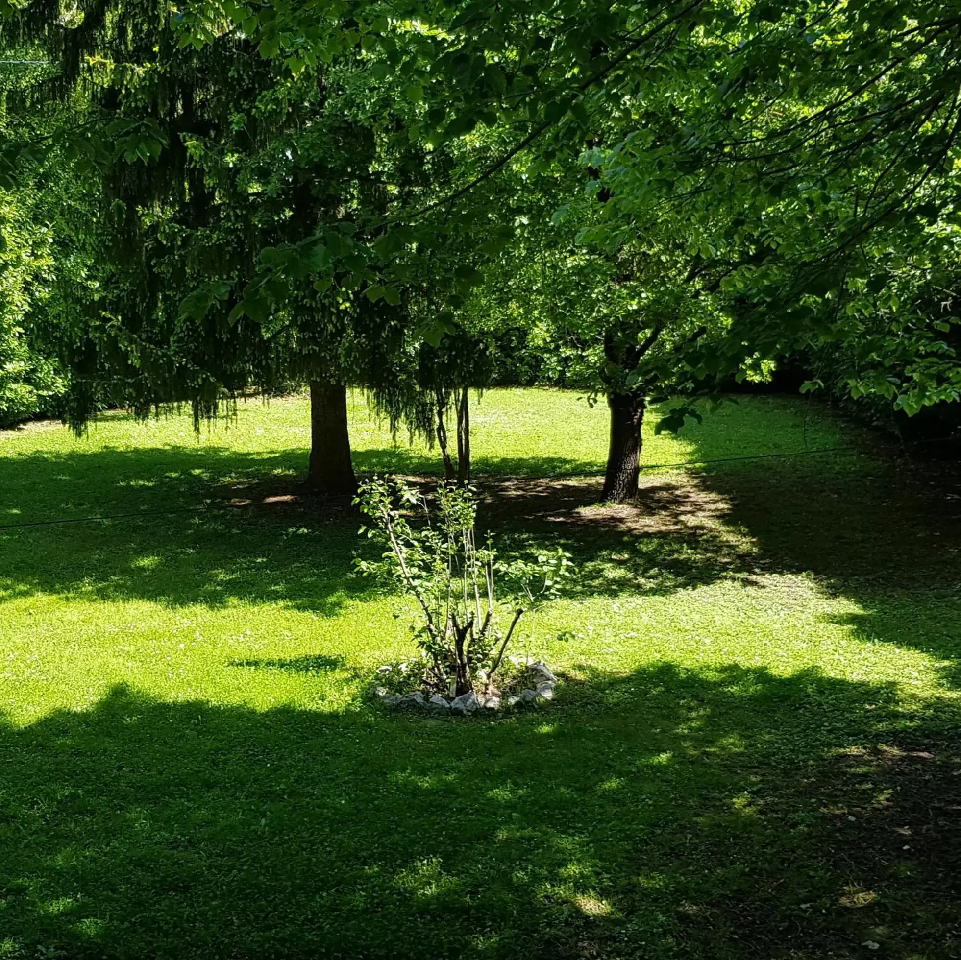 Garden in La Casanat