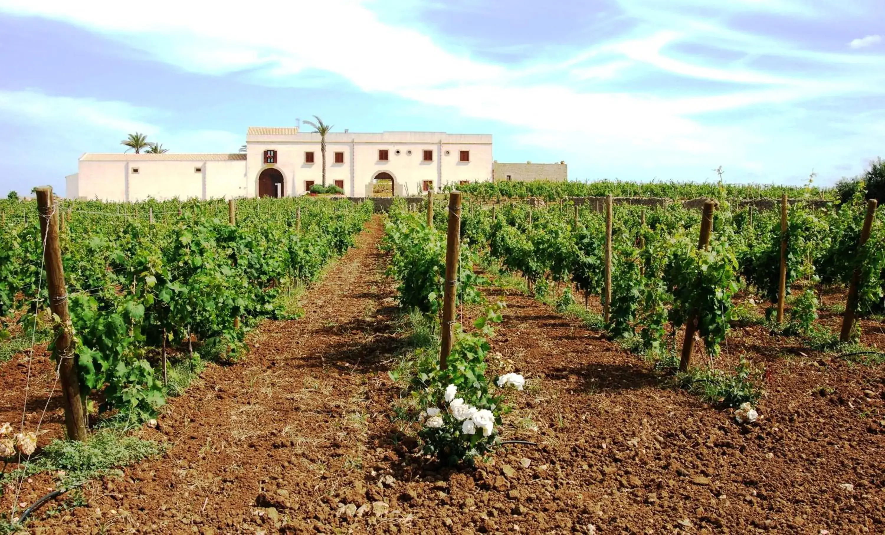 Property building in Agriturismo Baglio Donnafranca Wine Resort