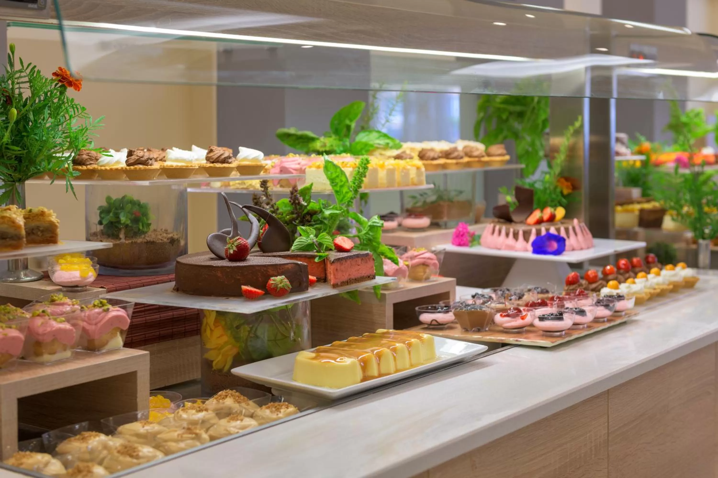 Food close-up in Sun Beach Resort