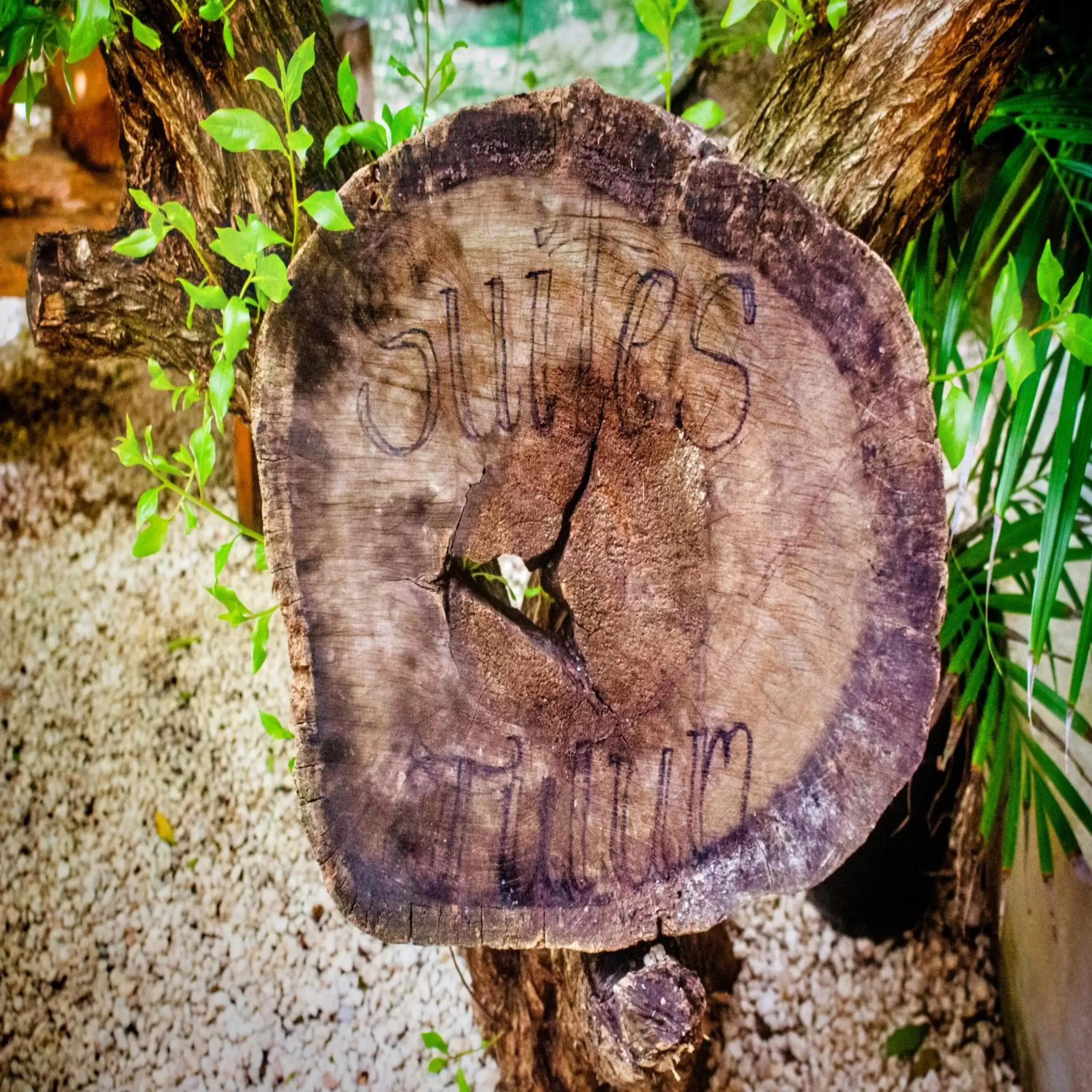 Property logo or sign, Other Animals in Suites Tulum