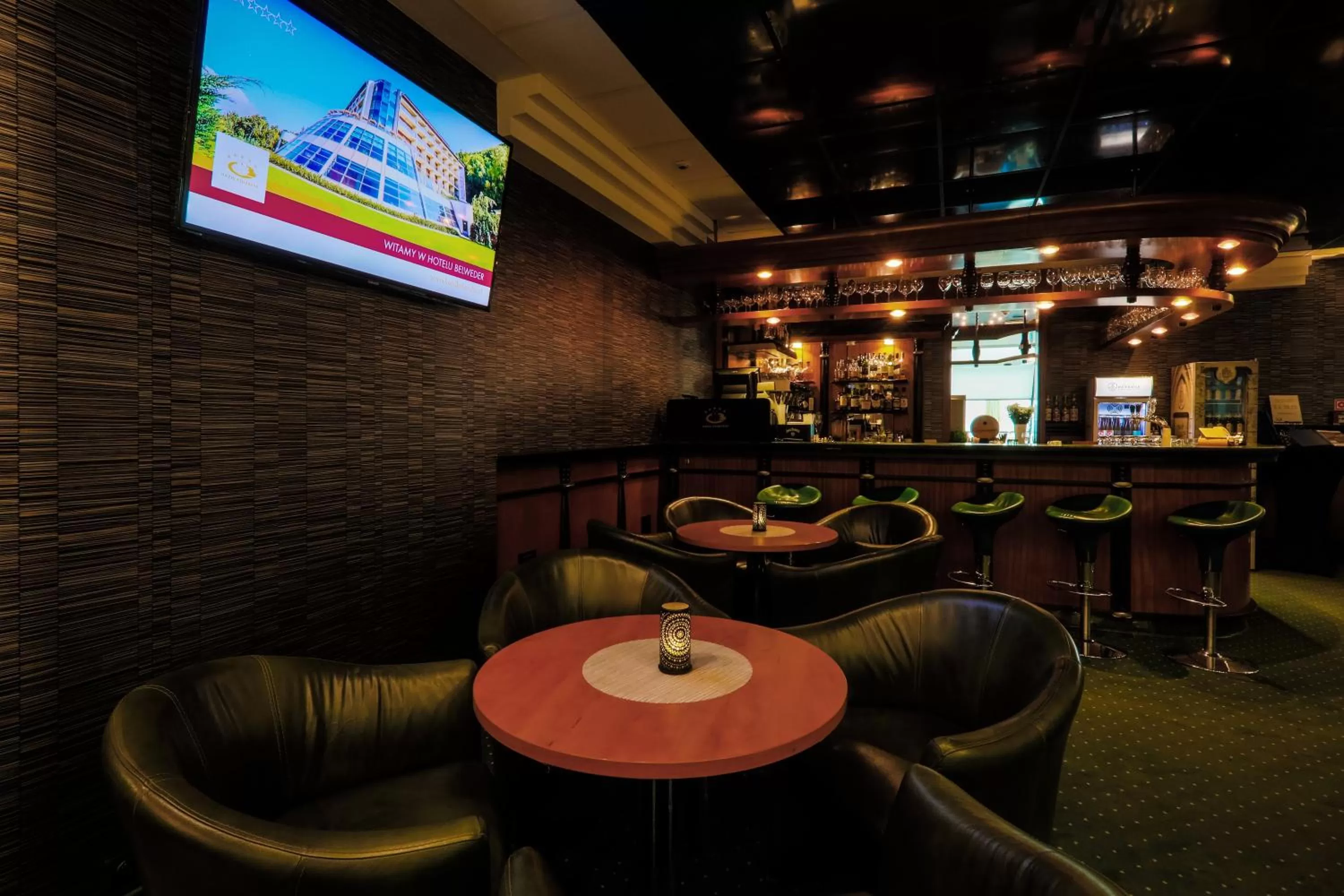 Lounge or bar in Hotel Belweder