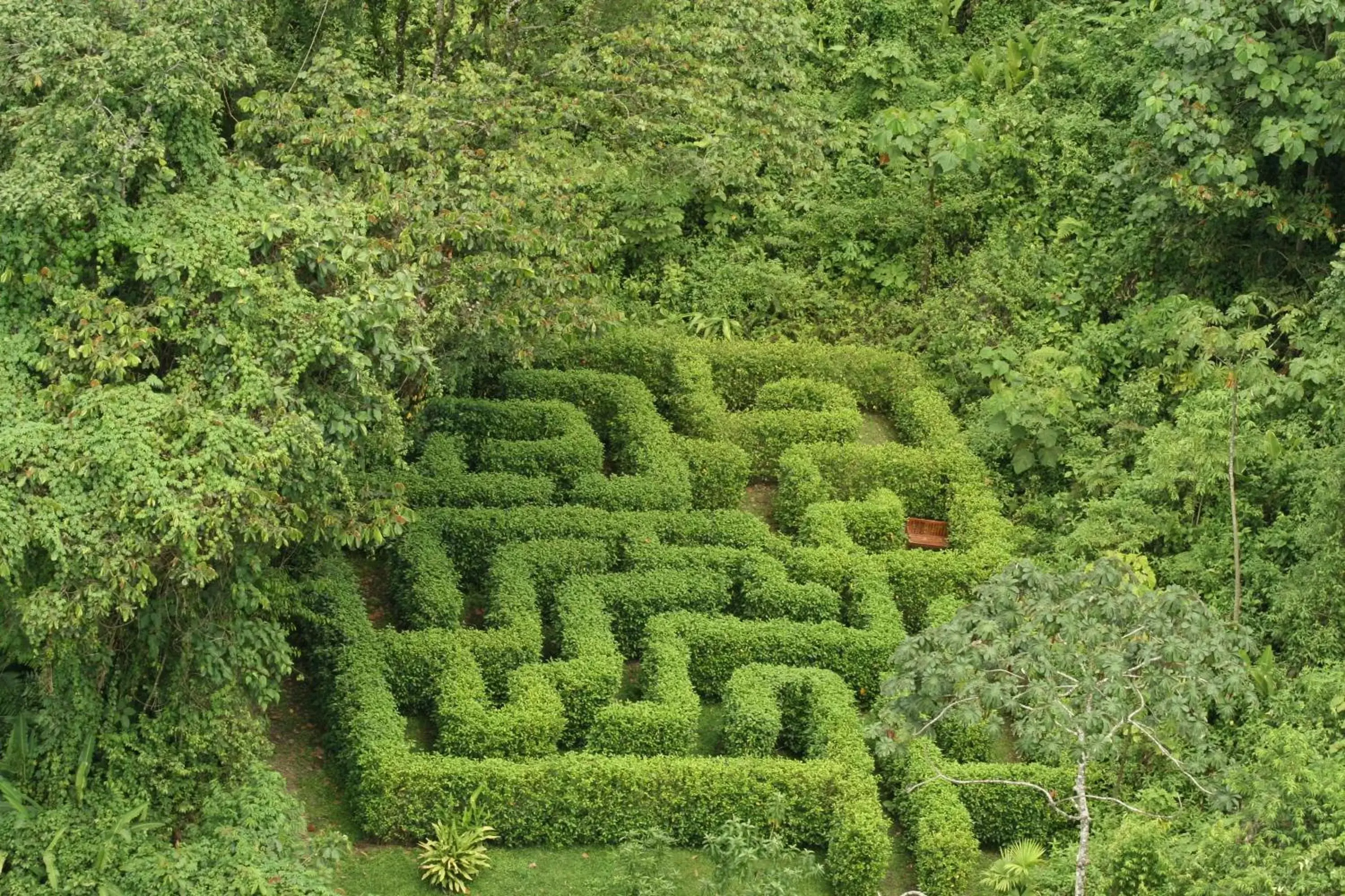 Garden in Lost Iguana Resort and Spa