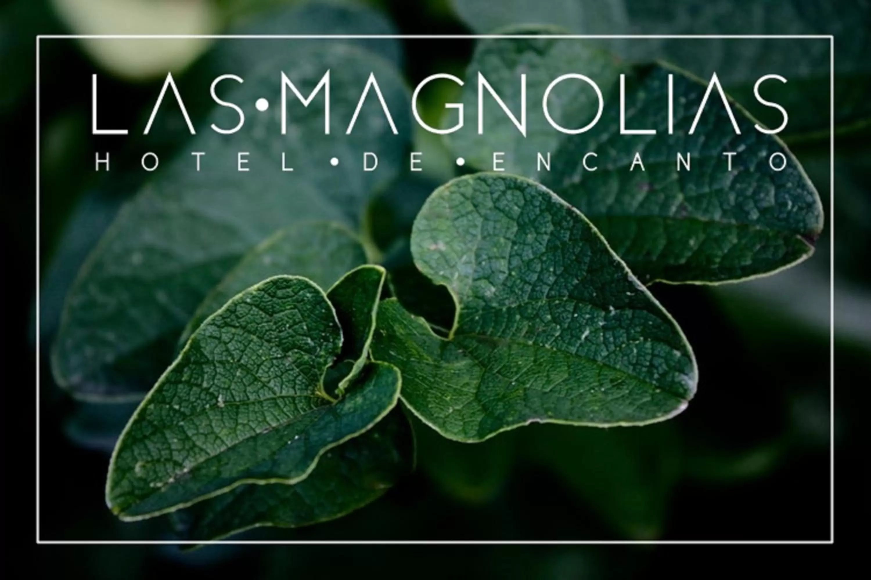 Las Magnolias Hotel Boutique