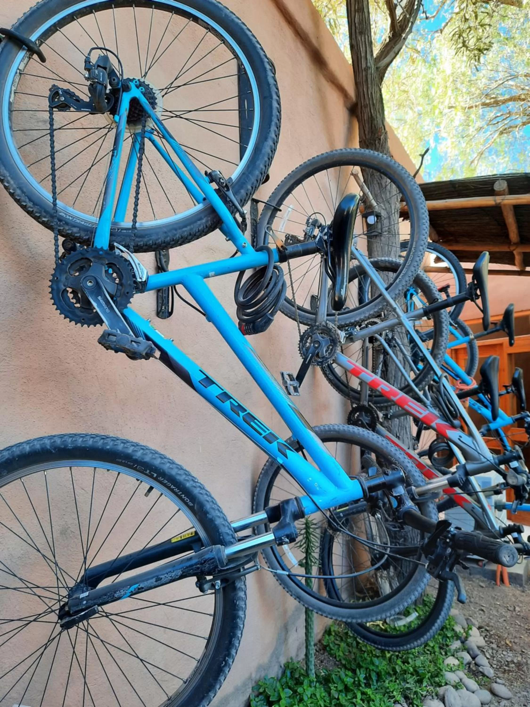 Cycling in Hotel Pascual Andino