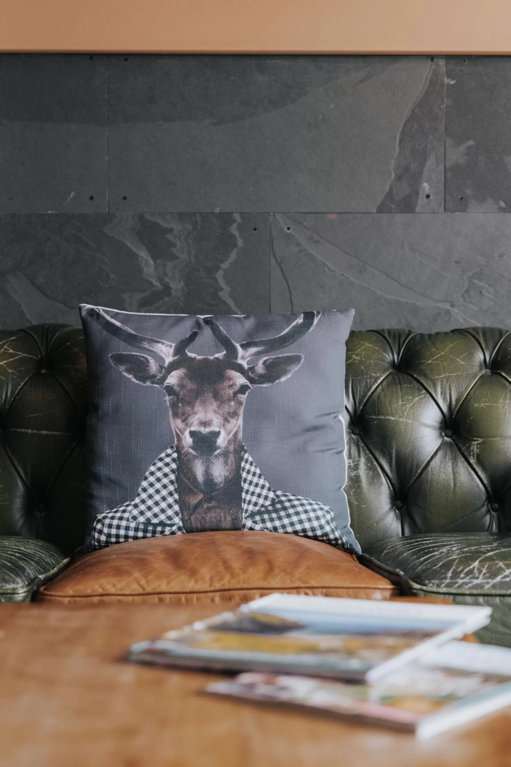 Lounge or bar in An Mor Accommodation