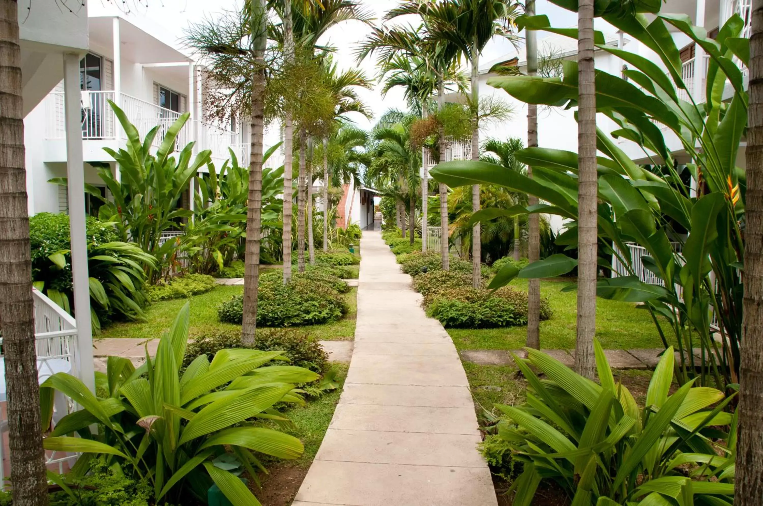 Garden in Negril Palms