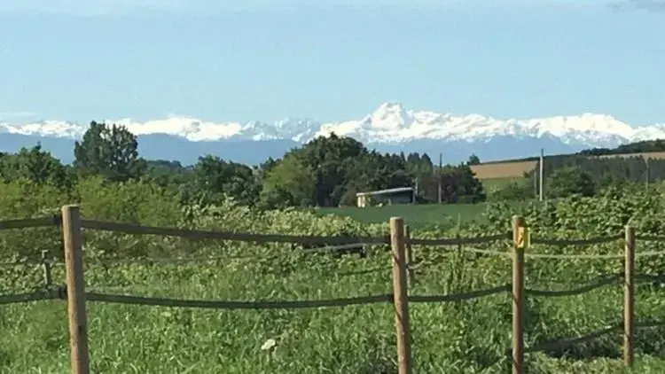 Mountain View in chambres d'hotes Labatut