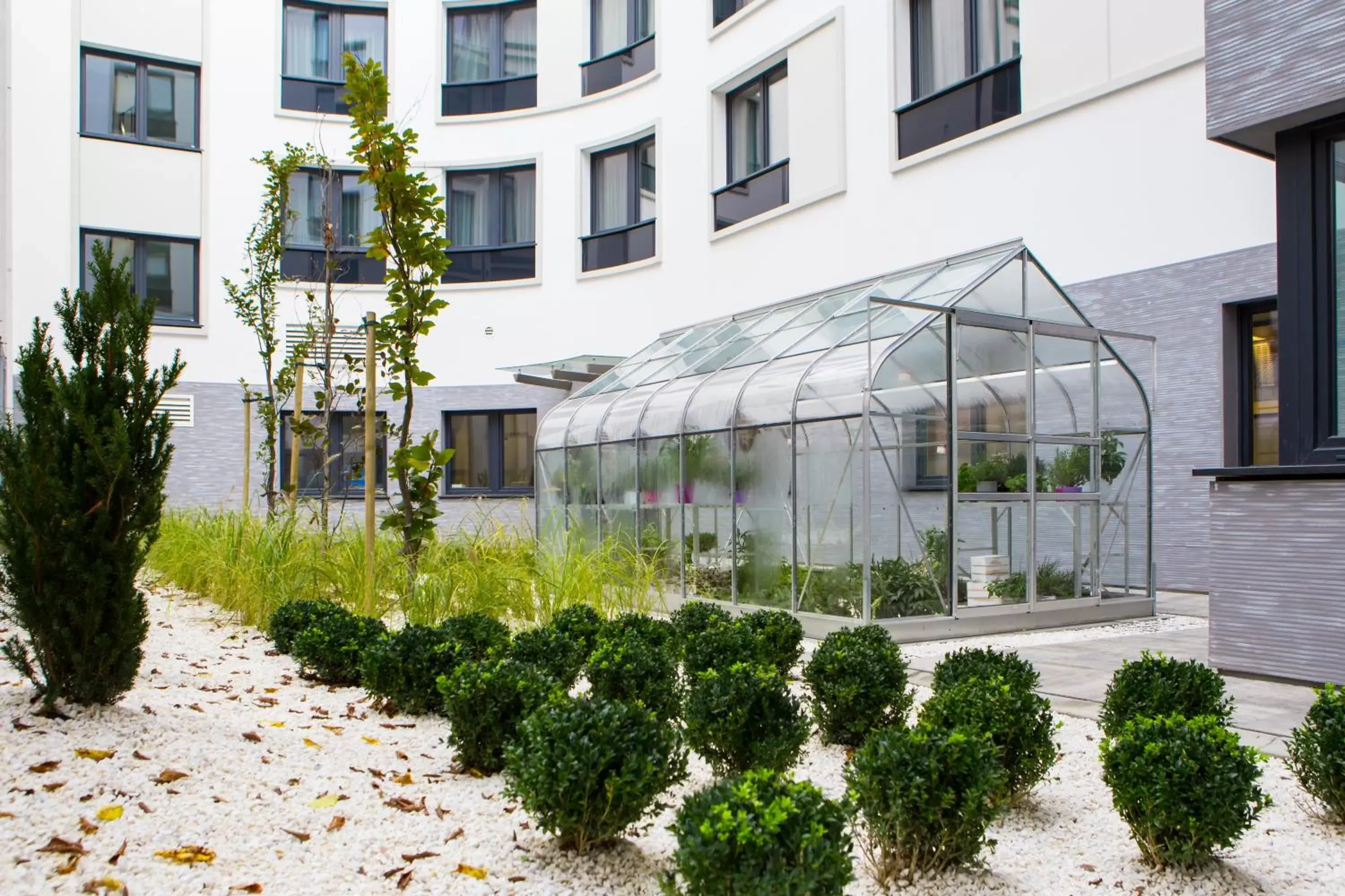 Natural landscape, Patio/Outdoor Area in Mercure Krakow Stare Miasto