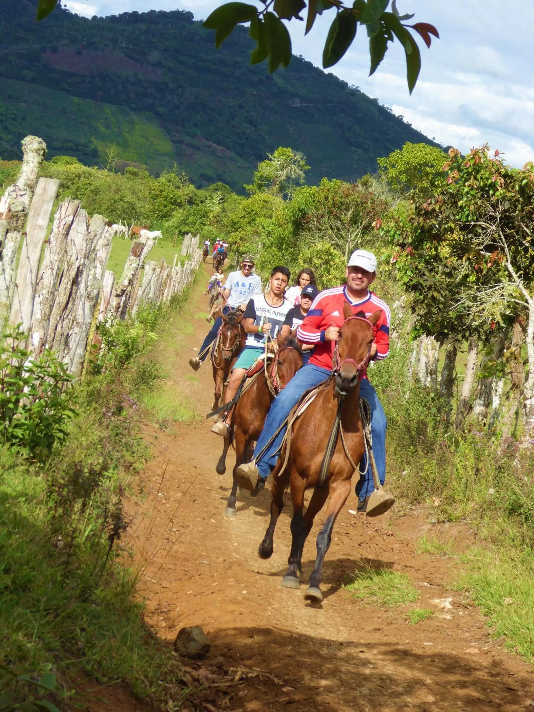 Horse-riding in Finca El Cielo
