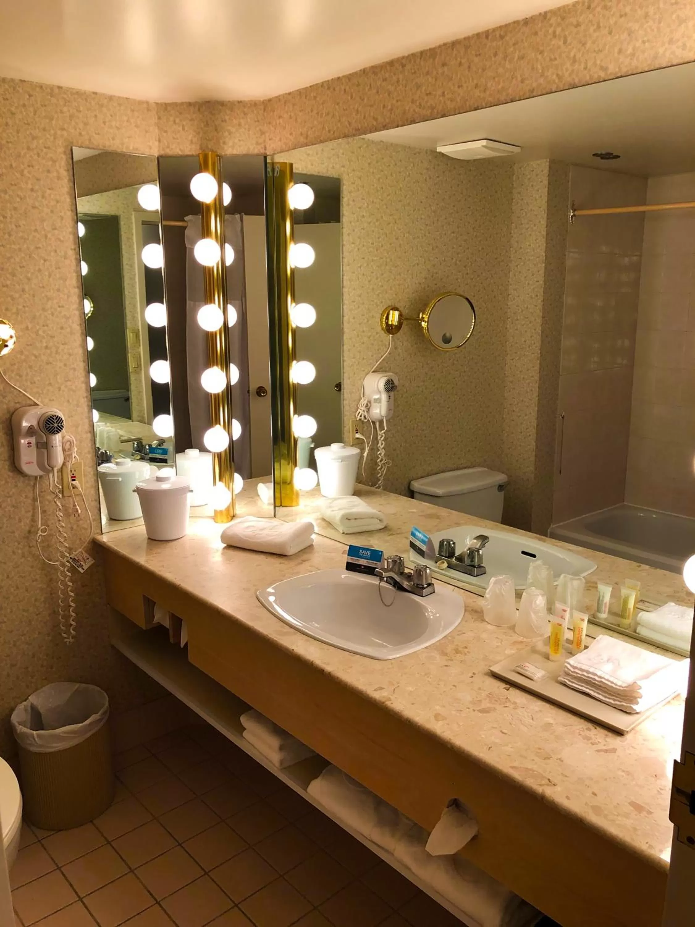 Bathroom in Hôtels Gouverneur Montréal - Île Charron