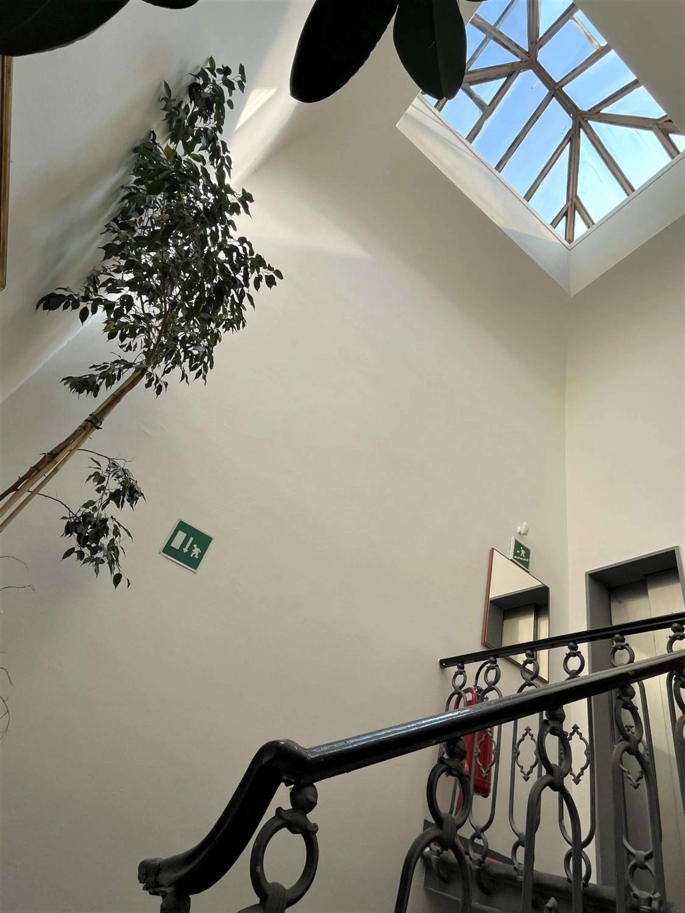 View (from property/room) in Hotel Leopolda