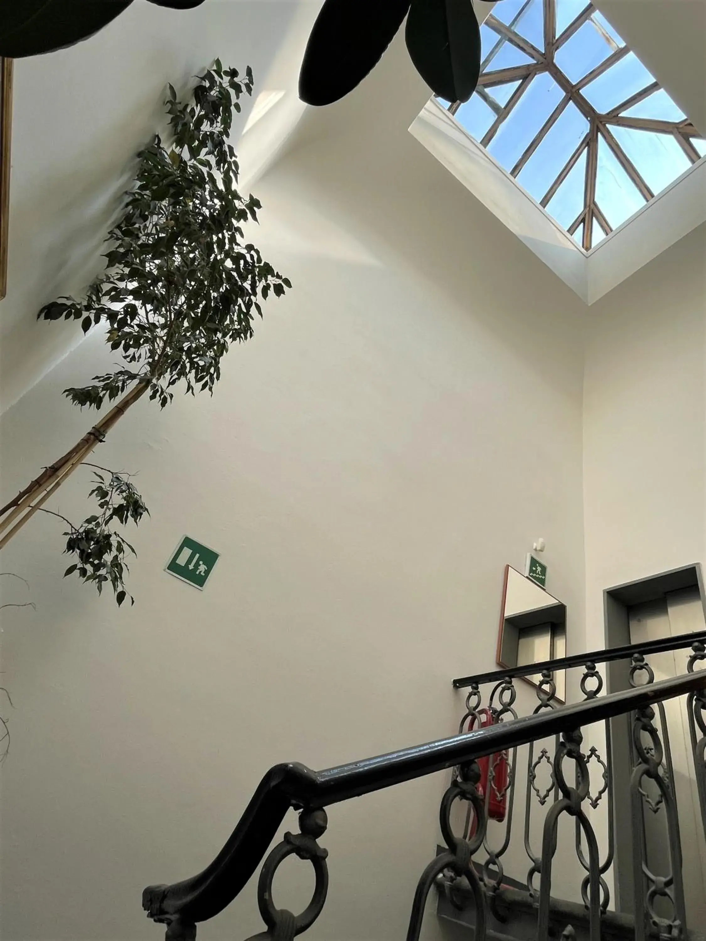 View (from property/room) in Hotel Leopolda View (from property/room) in Hotel Leopolda