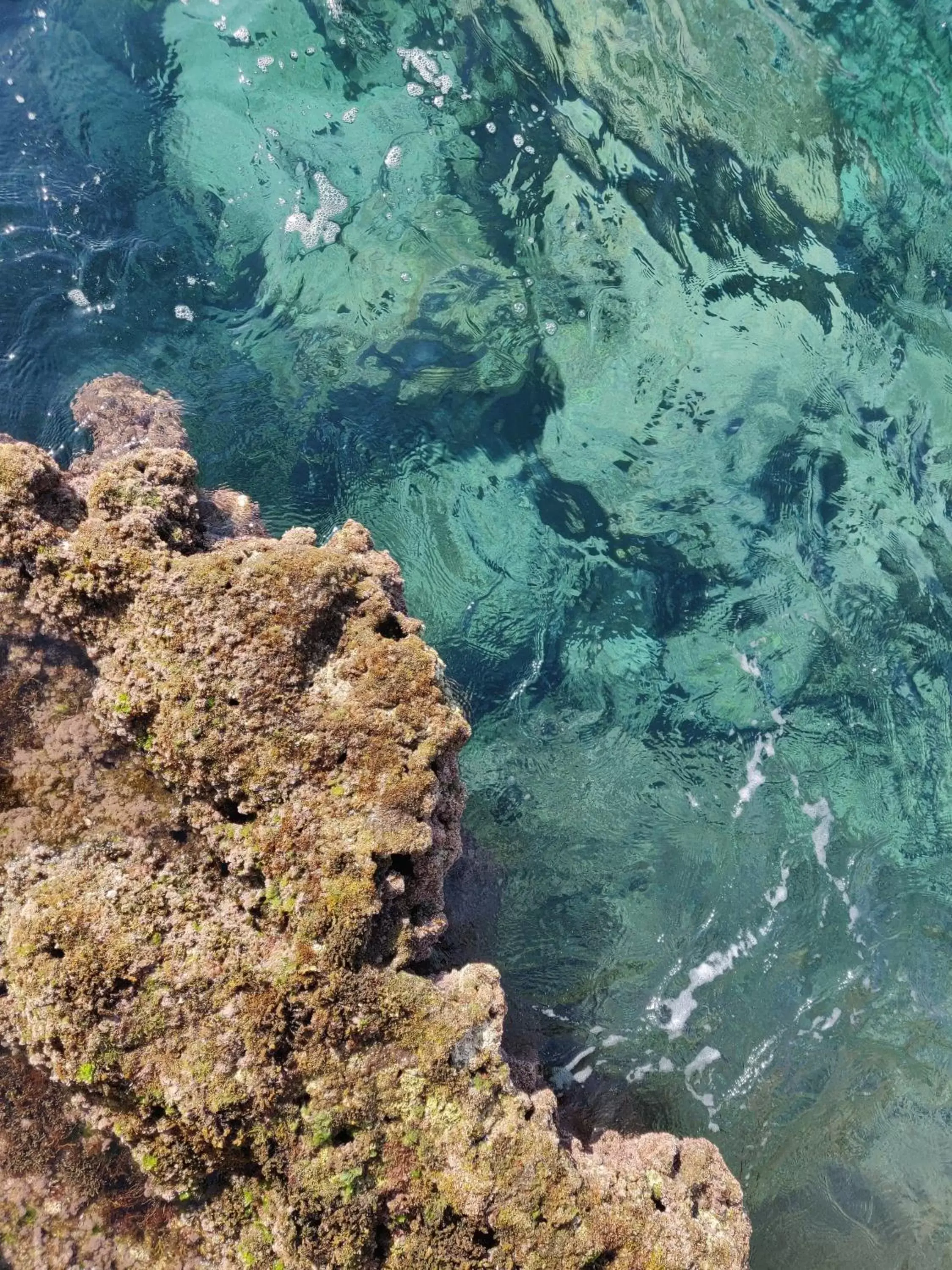 120 Rodionoff Palermo Centro - Ben collegato con l'aeroporto, la spiaggia di Mondello