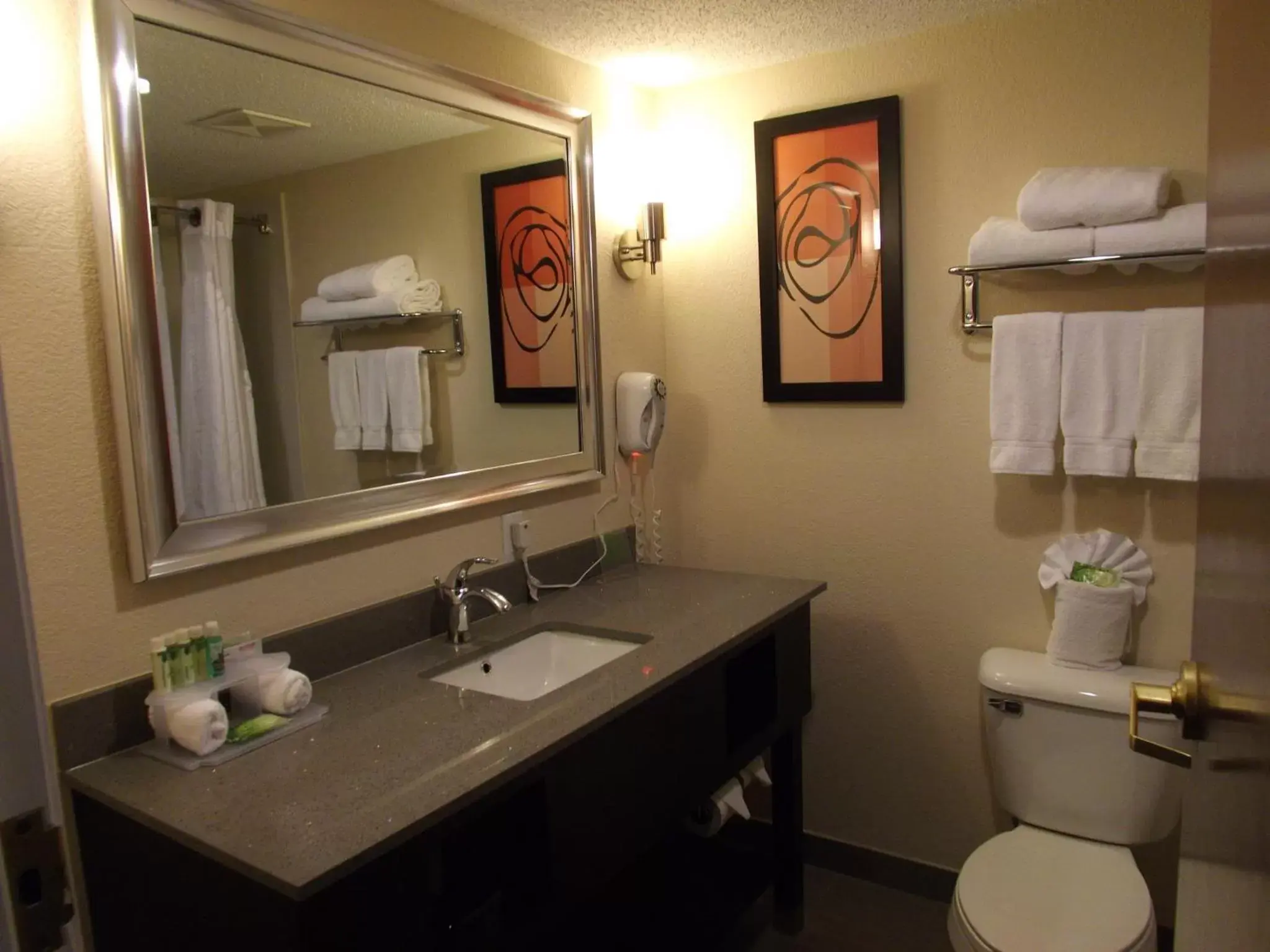Bathroom in Holiday Inn Express Lexington Southwest Nicholasville, an IHG Hotel