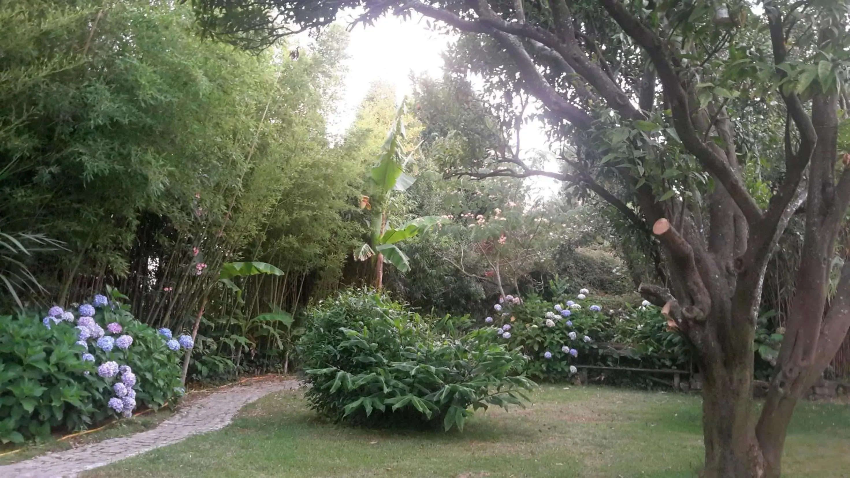 Garden in Casa 3 Águias