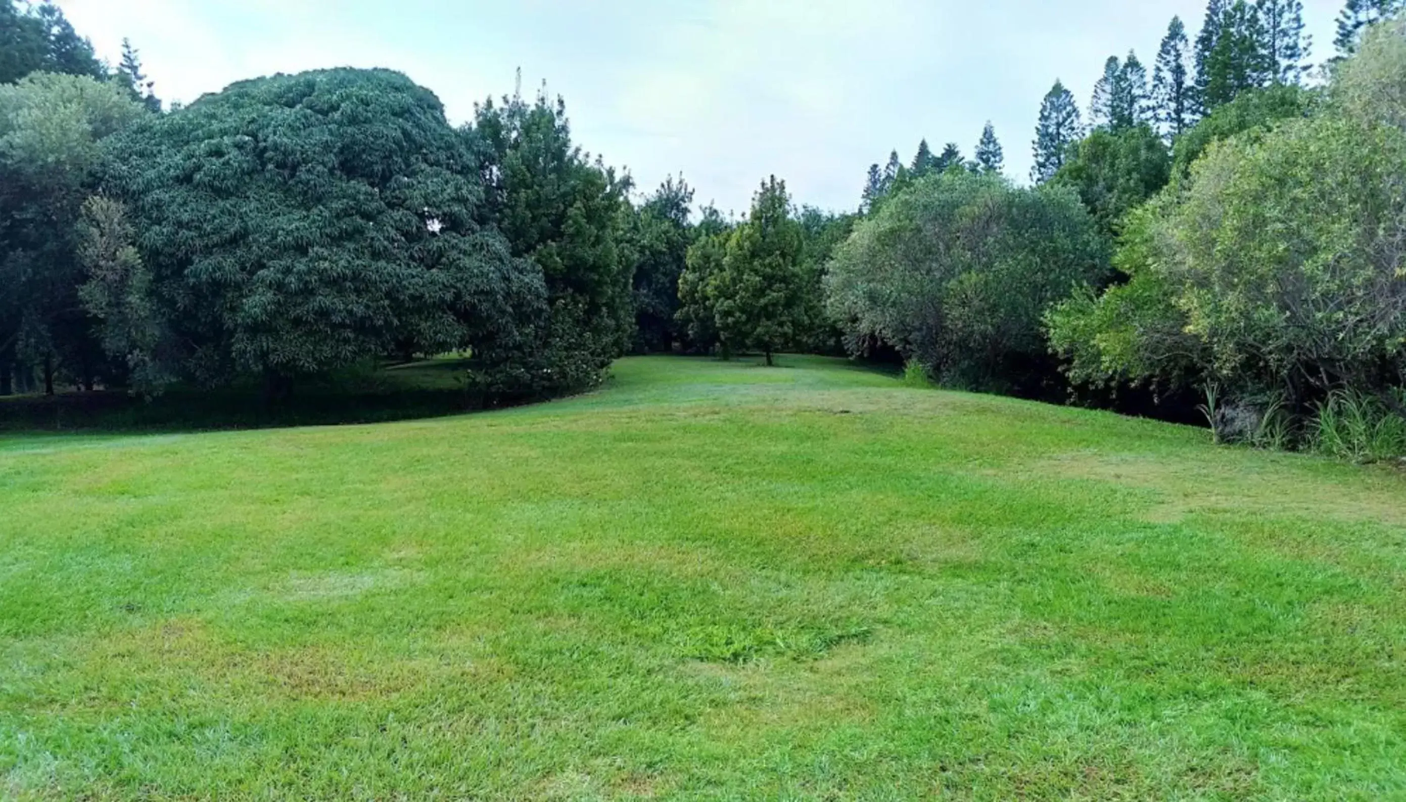 Garden in Hawaii Island Resort