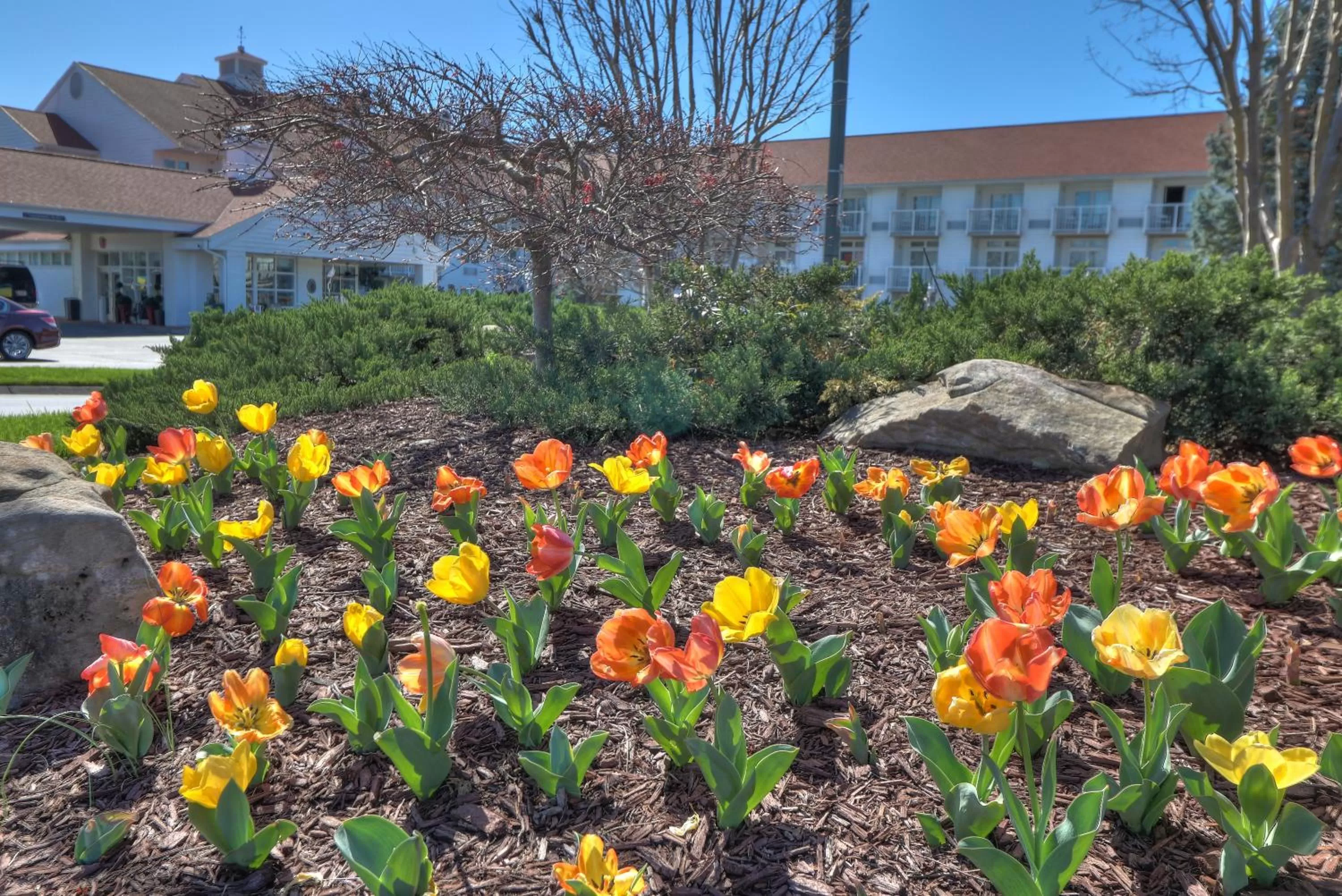 Property building in The Inn at Apple Valley, an Ascend Collection Hotel