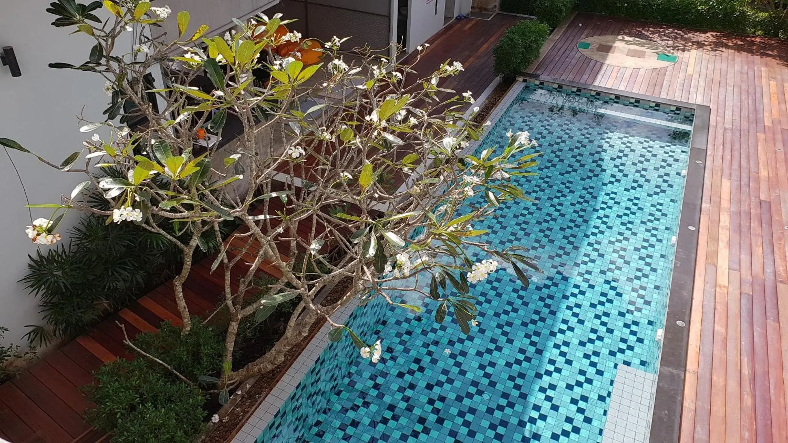 Pool view in Us hostel samui Pool view in Us hostel samui