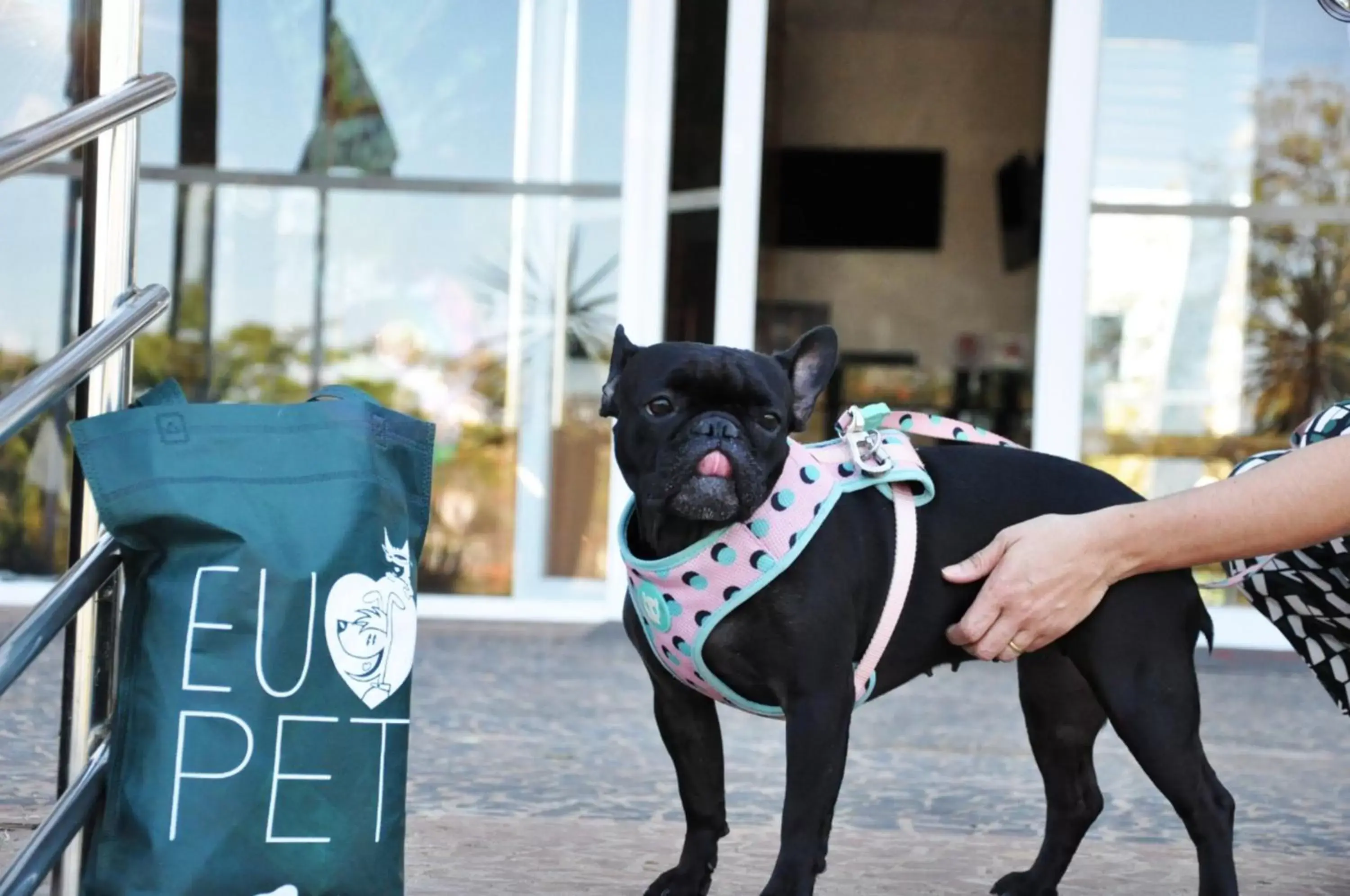 Pets in Transamerica Executive Fernandópolis