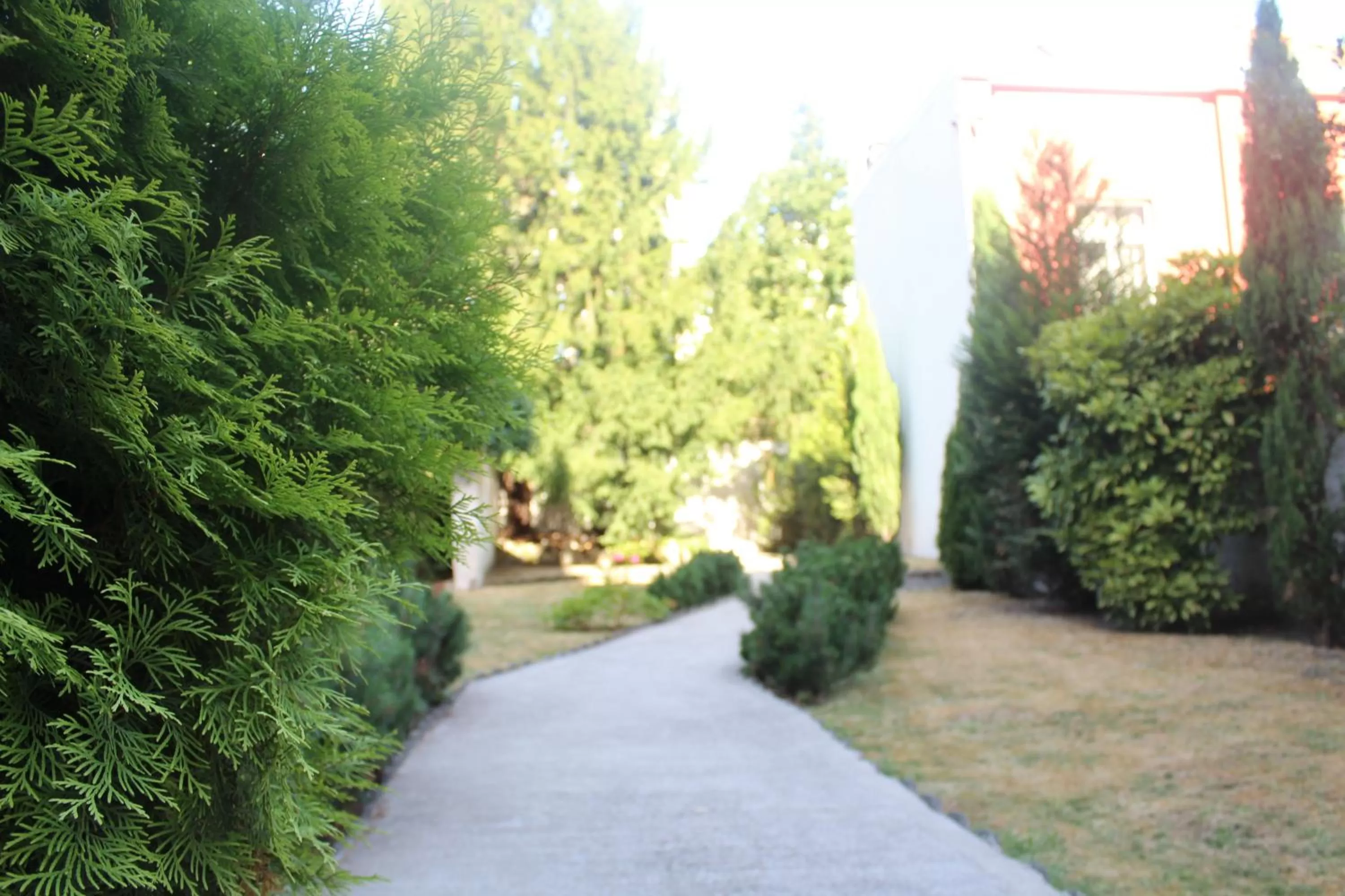 Garden in MAS Aparthotel EU