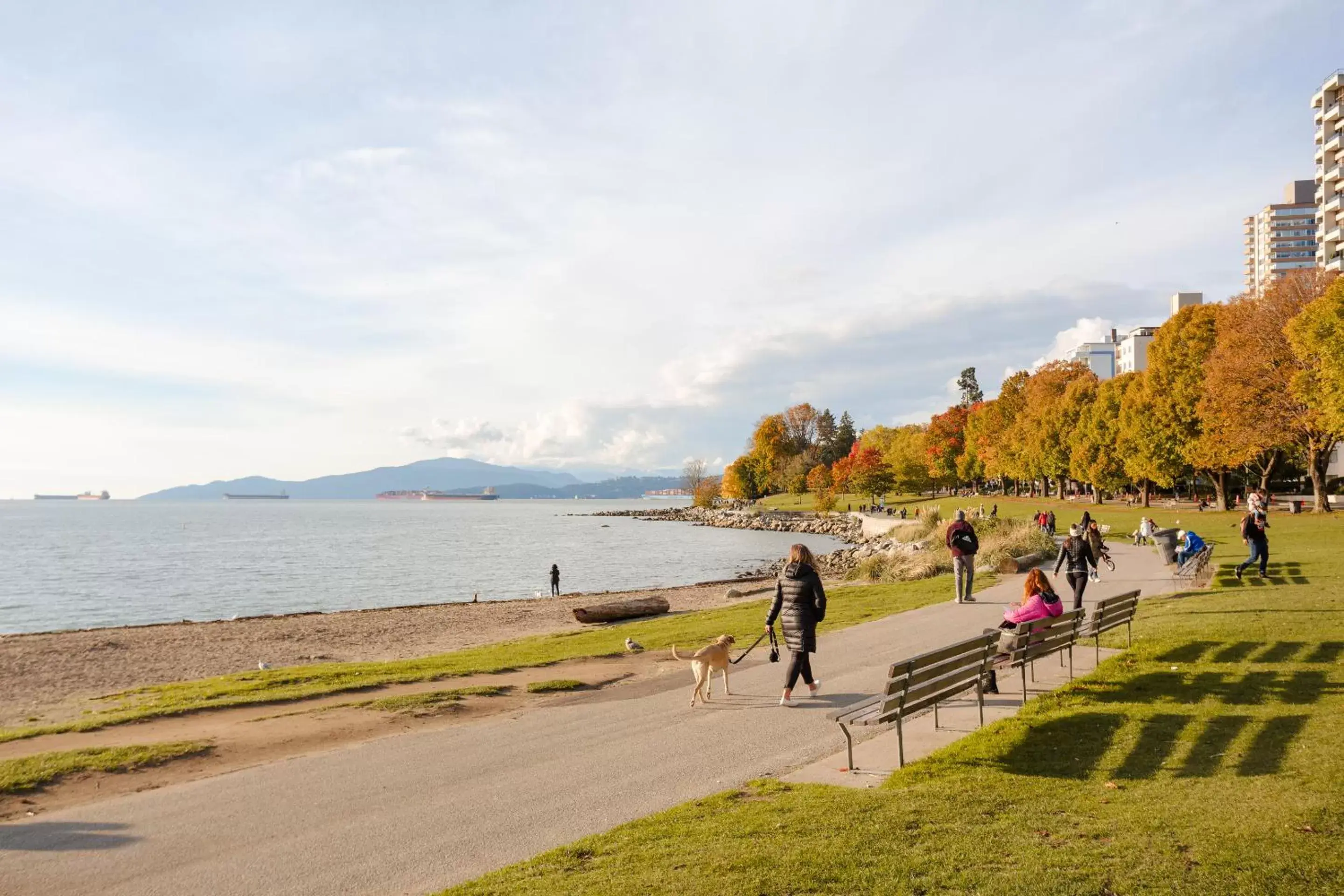 Beach in Sonder at Revival