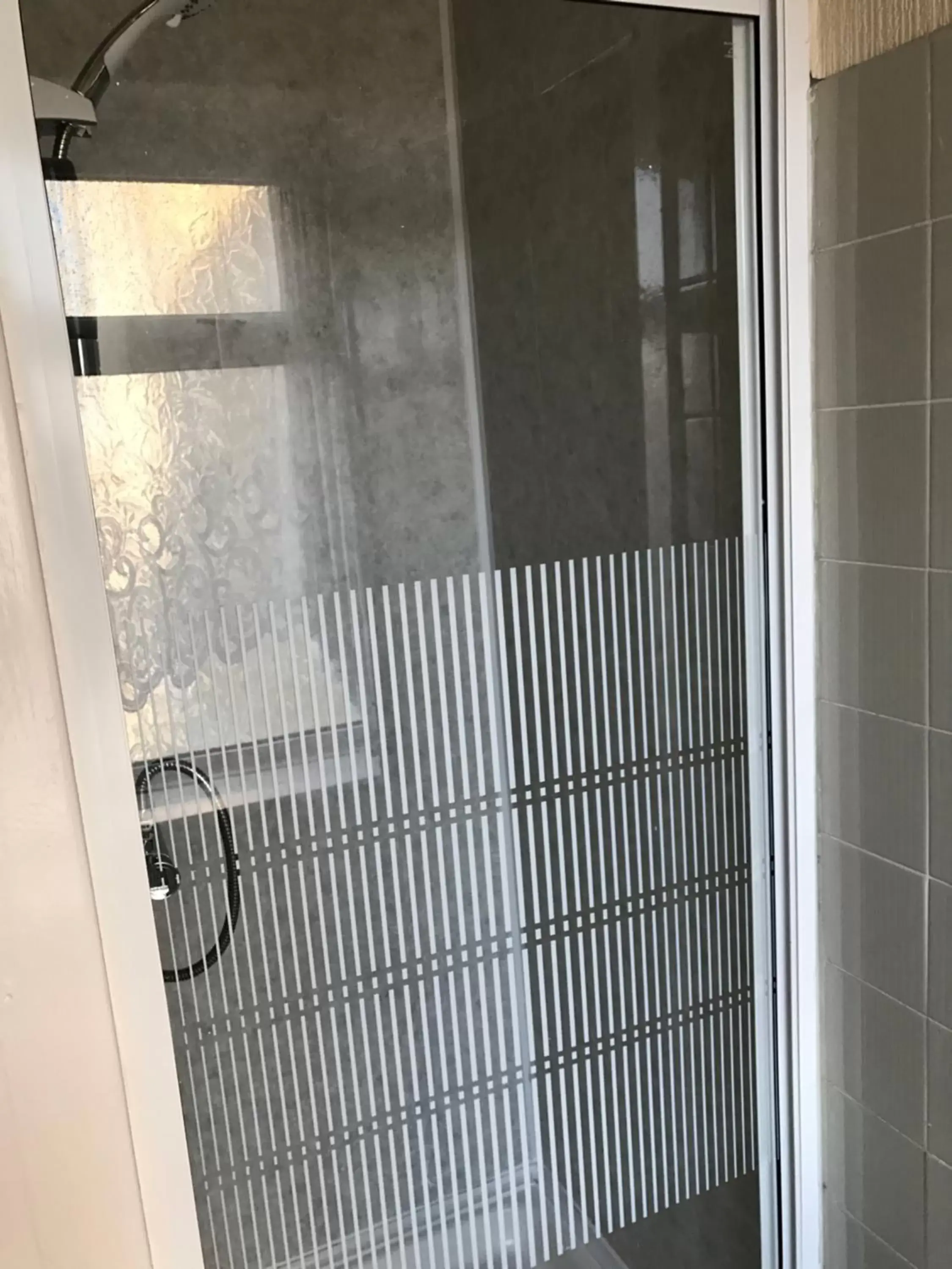 Shower, Bathroom in Queens Plaza Hotel