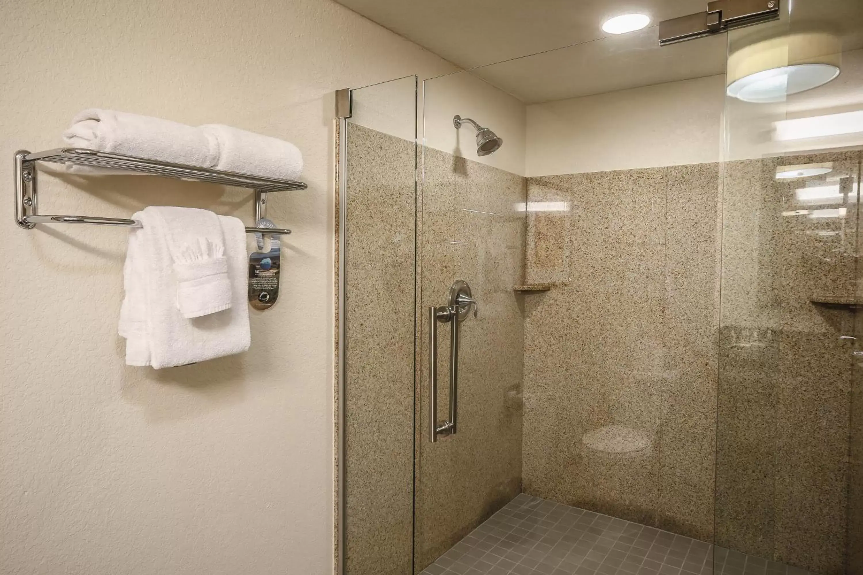 Shower, Bathroom in Holiday Inn Austin Midtown, an IHG Hotel