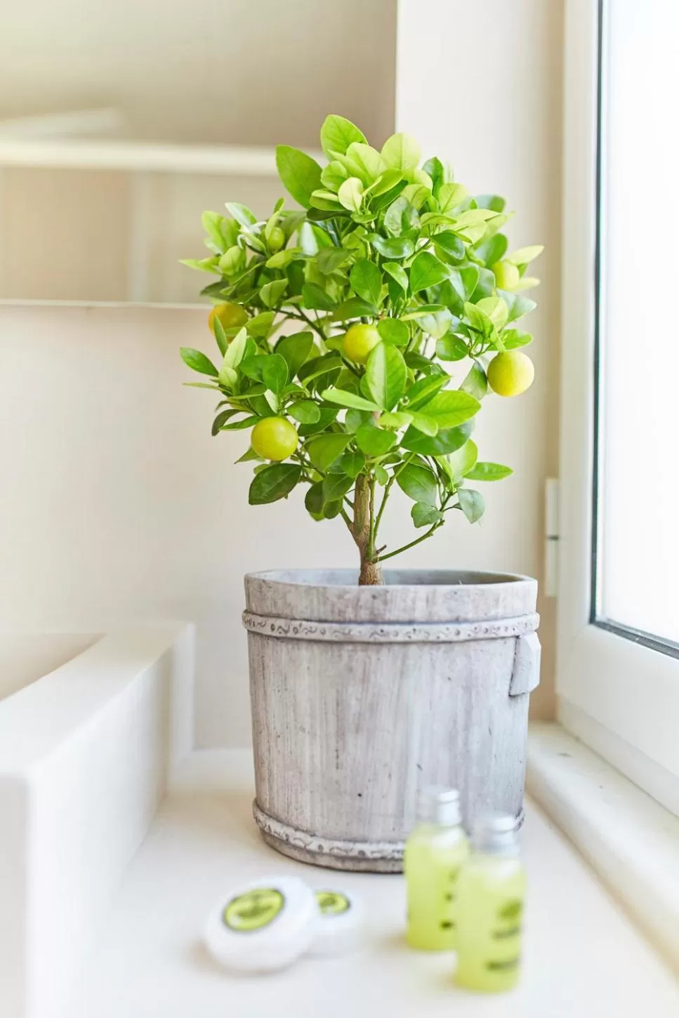 Decorative detail in The Athens Version Luxury Suites