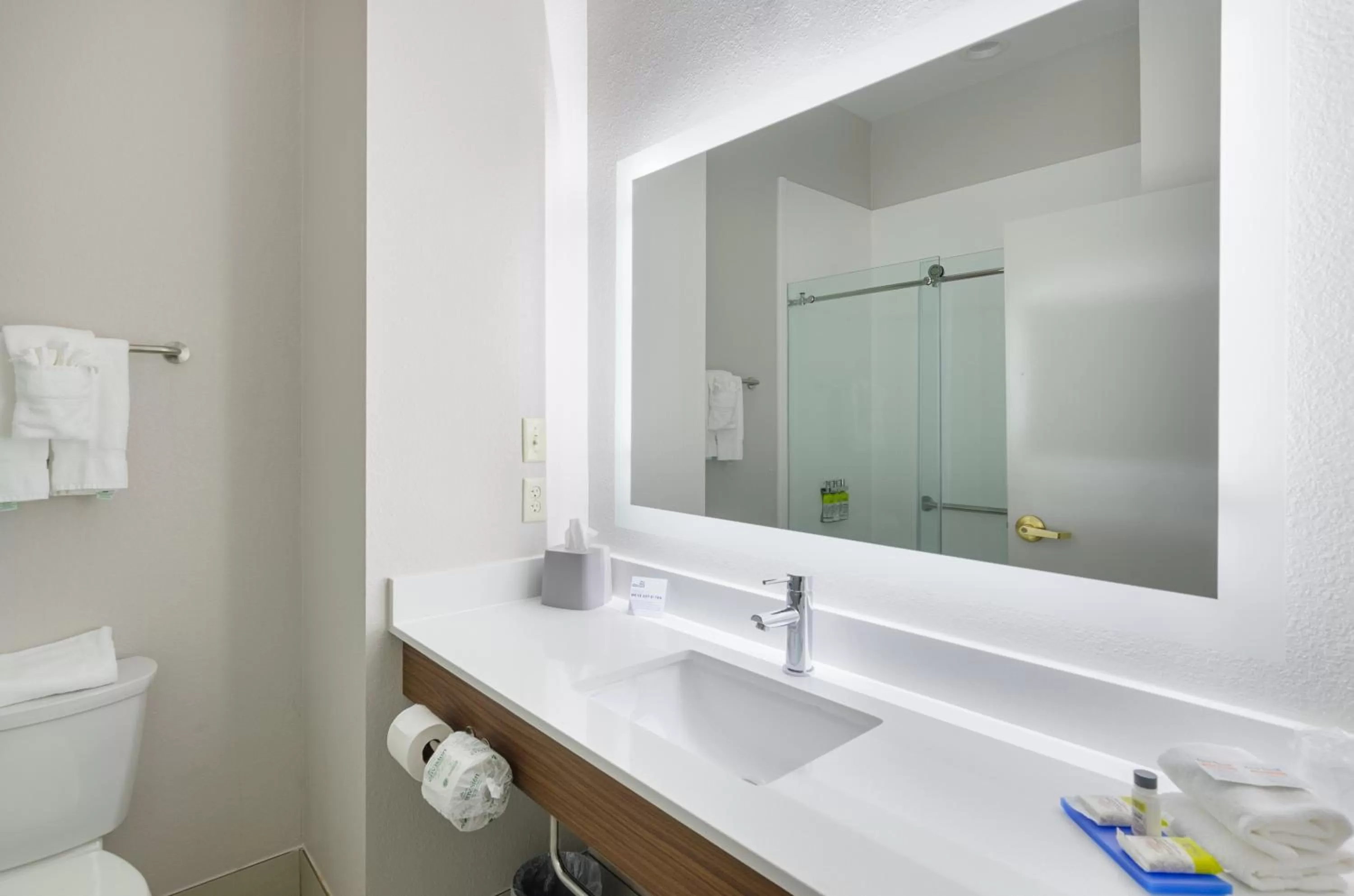 Bathroom in Holiday Inn Express Hotel & Suites Weston by IHG