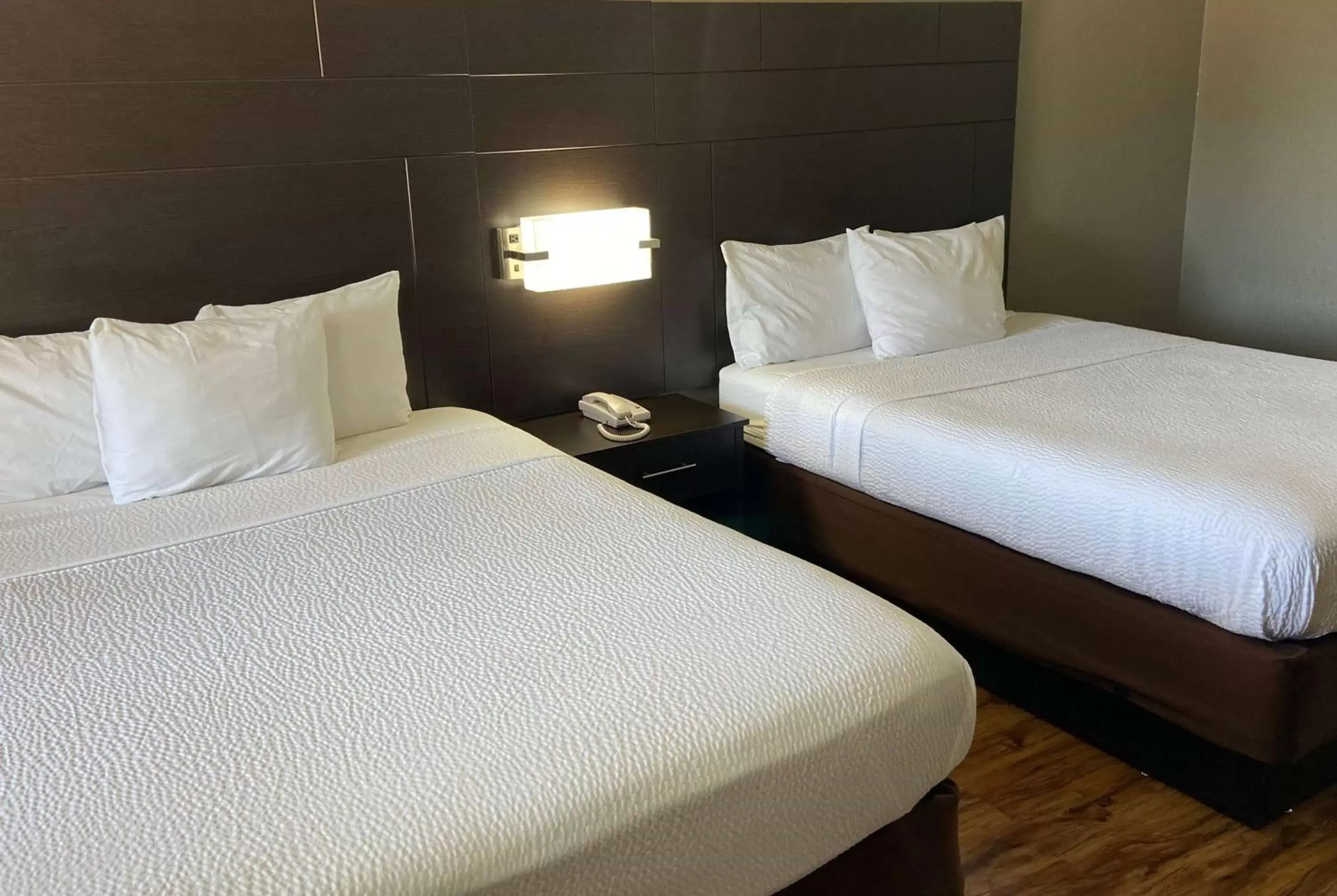 Photo of the whole room, Bed in Days Inn by Wyndham Tupelo