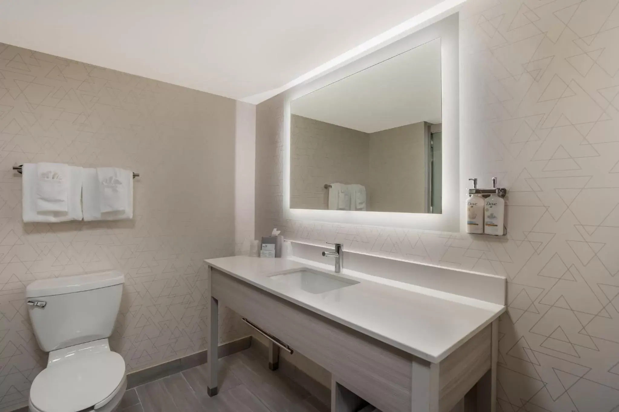 Bathroom in Holiday Inn Express & Suites Lexington, an IHG Hotel