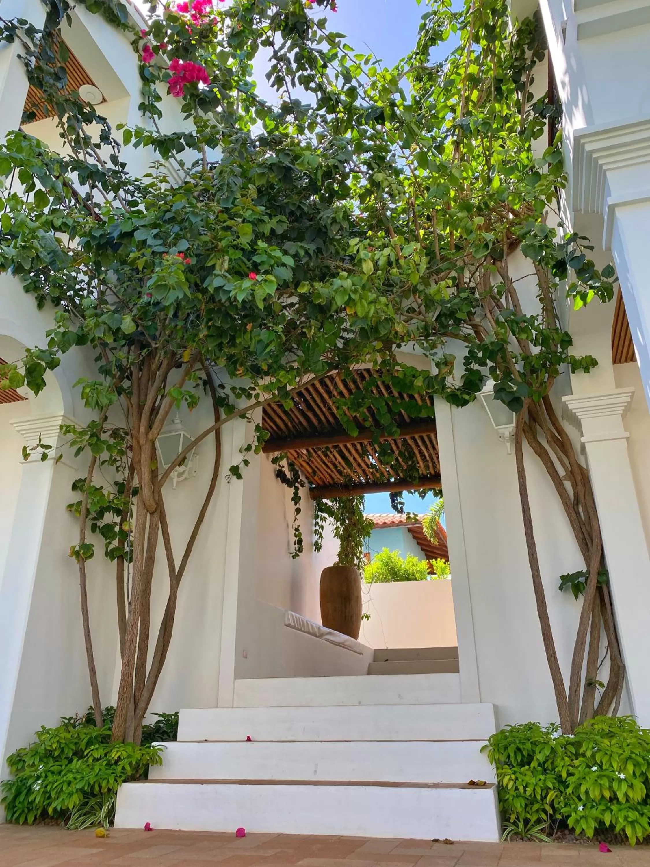 Garden in Villa Canziani & Donato