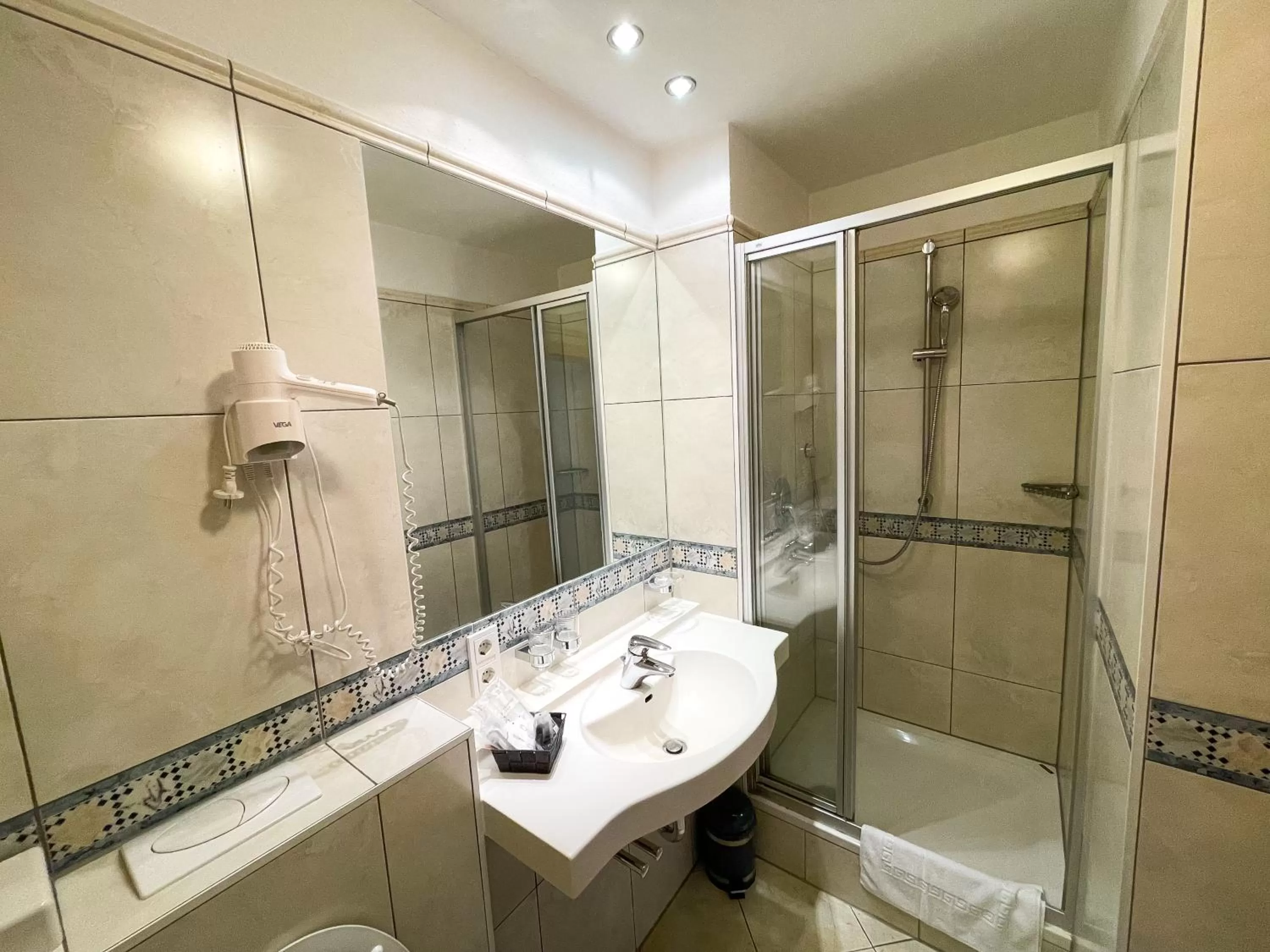 Standard Single Room with Shower - single occupancy in Bischofshof Braustuben