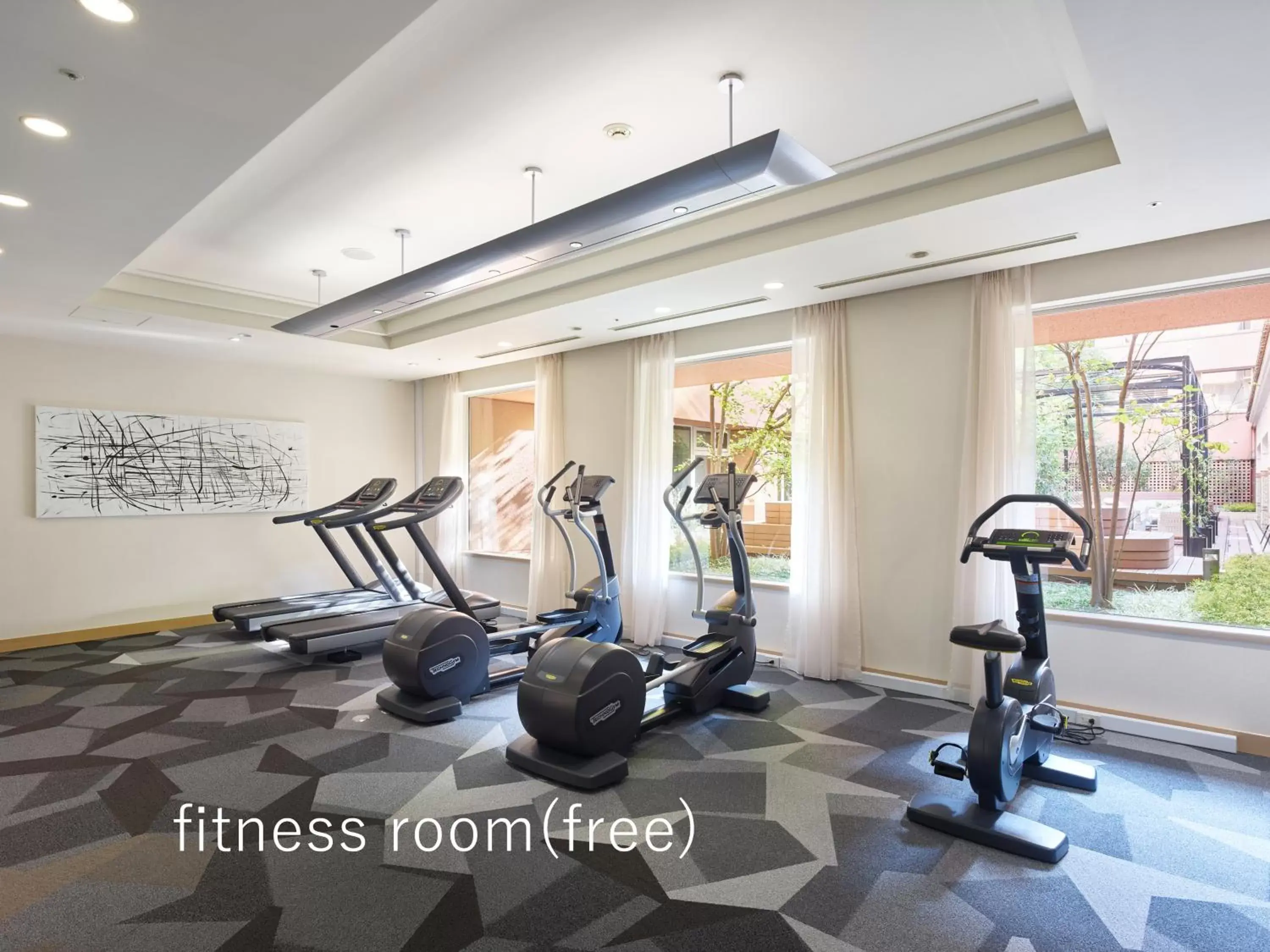 Fitness centre/facilities in Hotel The Celestine Tokyo Shiba Fitness centre/facilities in Hotel The Celestine Tokyo Shiba