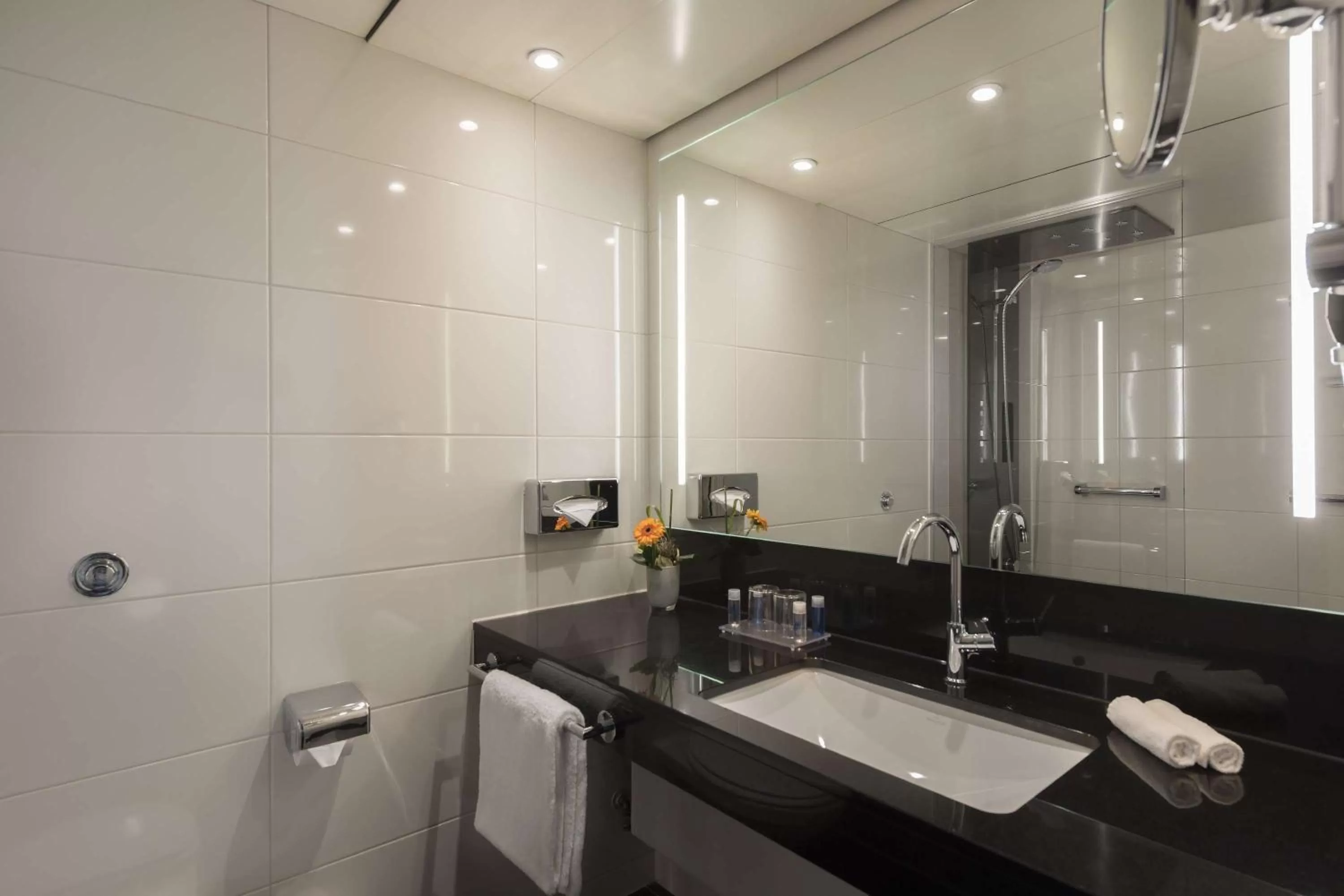 Bathroom in Maritim Hotel Königswinter