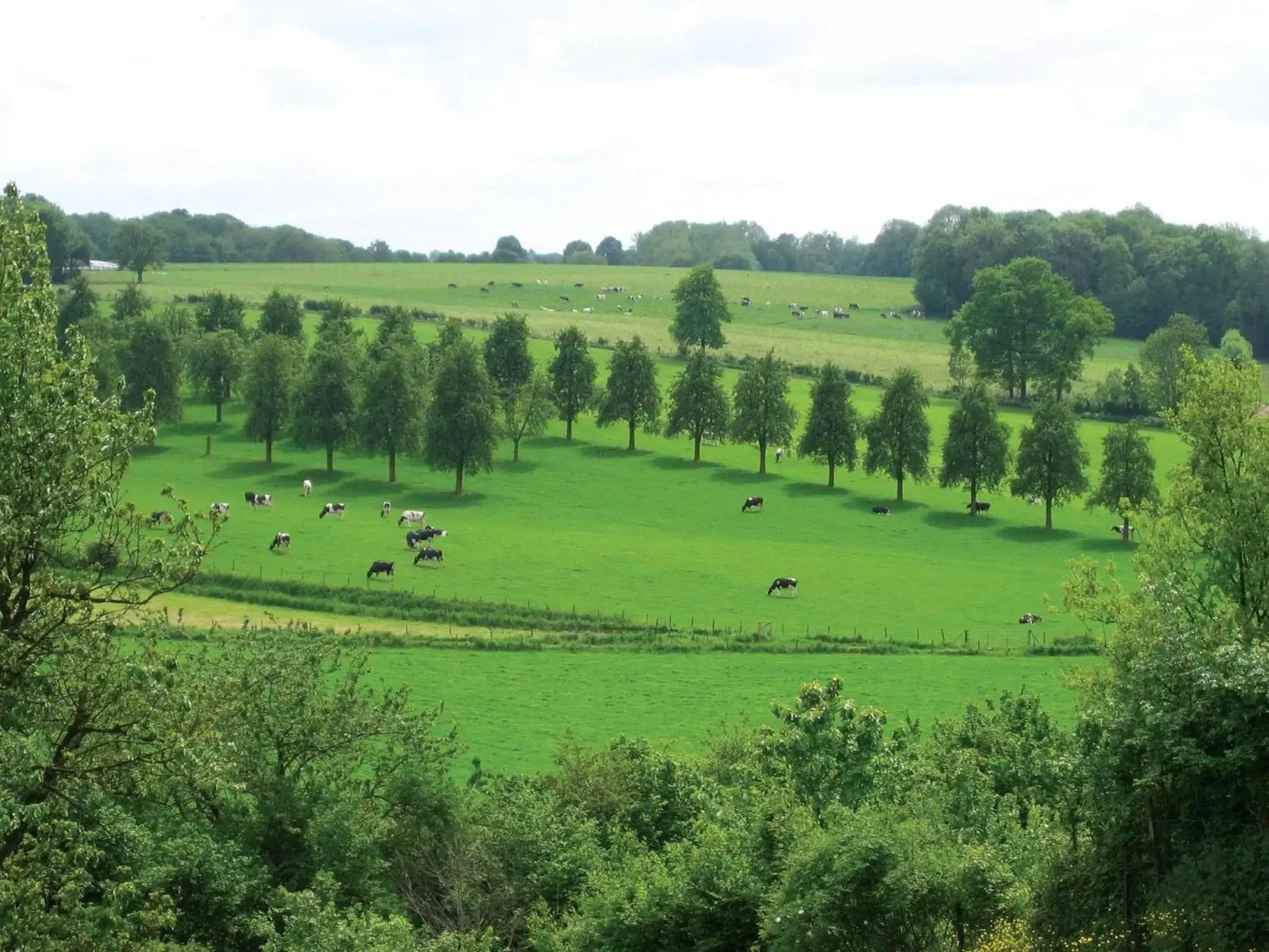 Natural landscape in Fletcher Hotel Restaurant Bon Repos