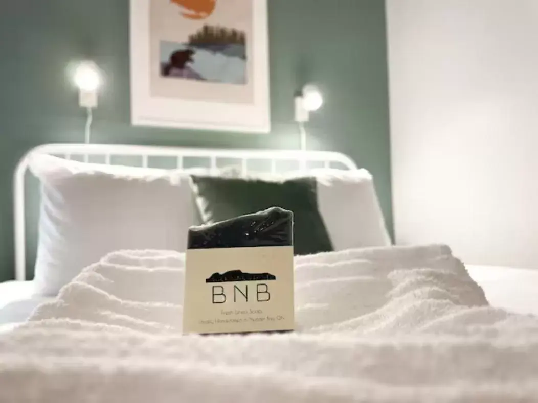 Bed in Sleeping Giant BNB