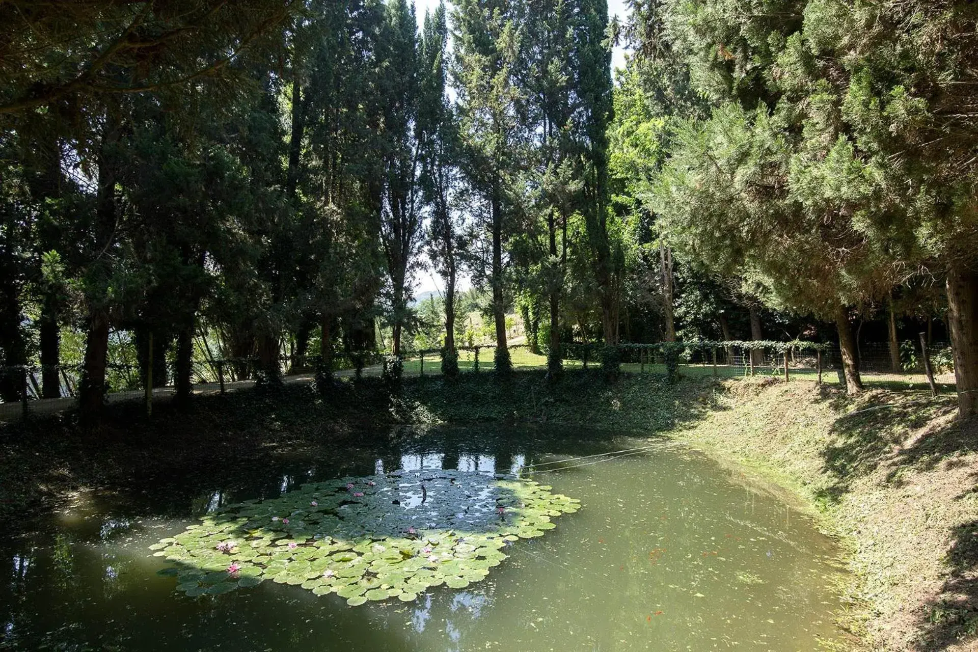 Natural landscape in Villa Cattani Stuart