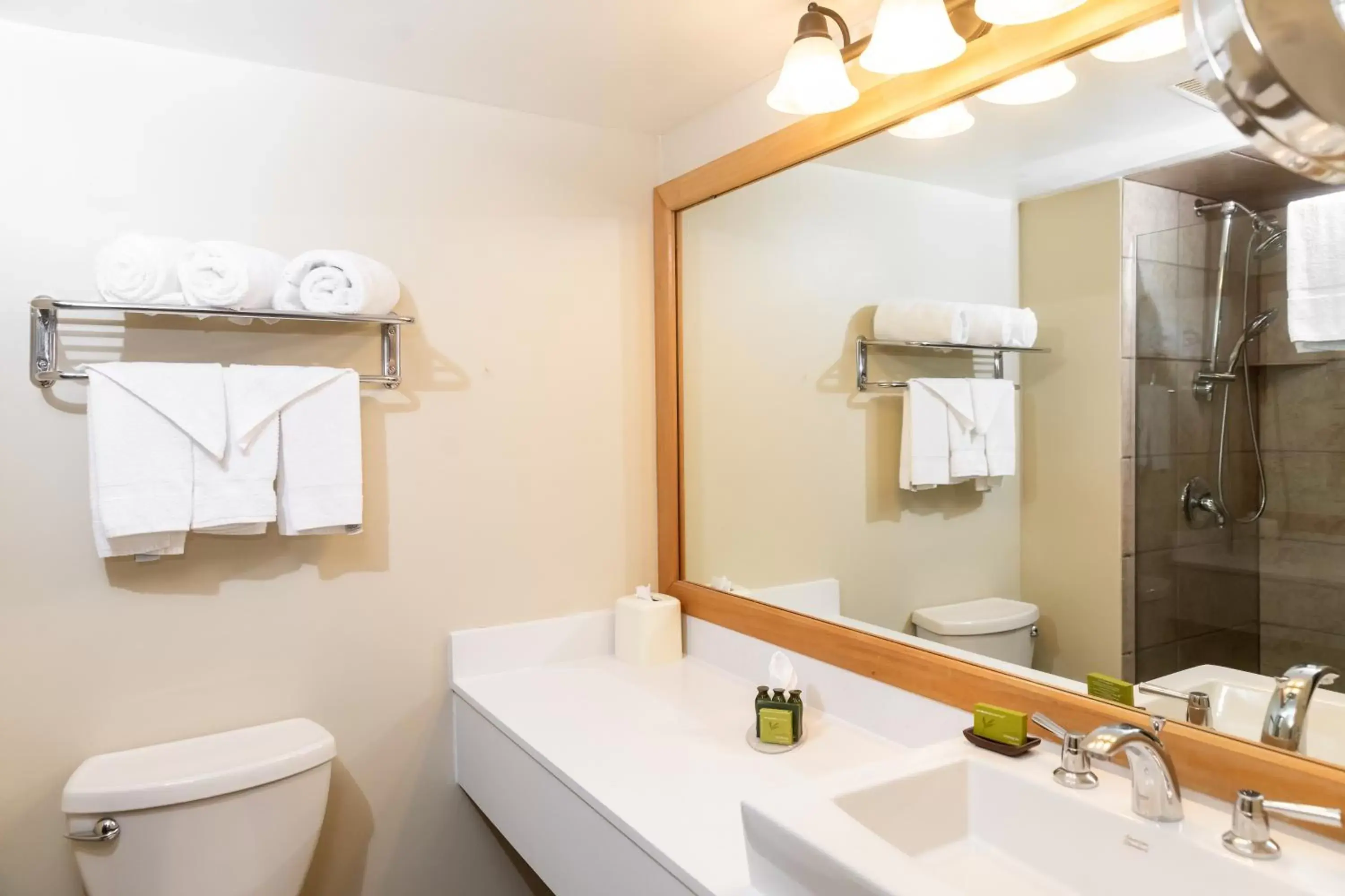 Bathroom in Hidden Valley Resort, Ascend Hotel Collection