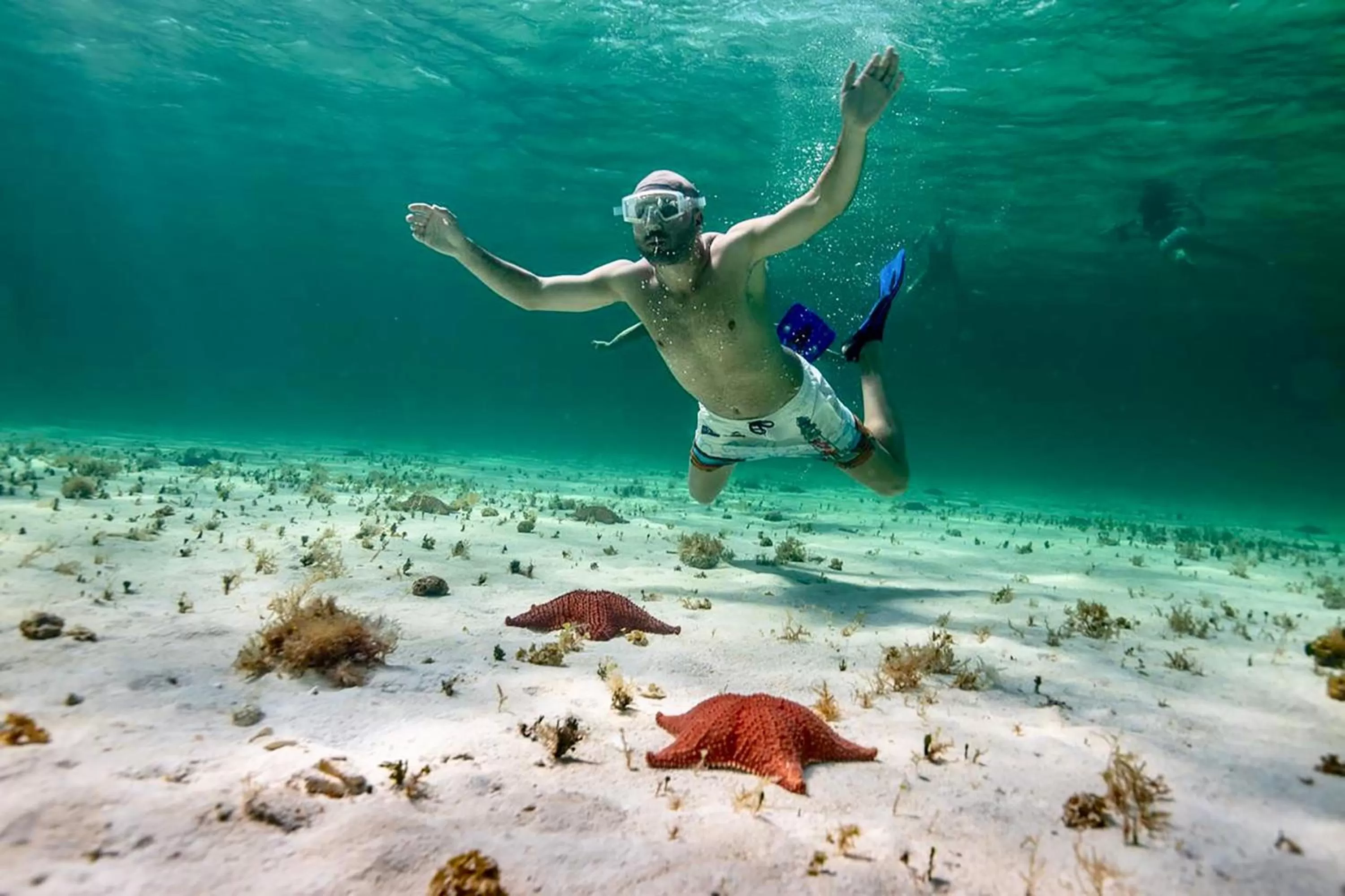 Activities in Albatros Suites by Bedsfriends