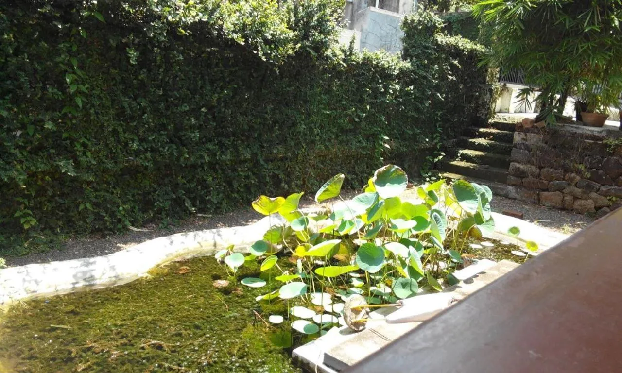 Balcony/Terrace in Fenn Hall