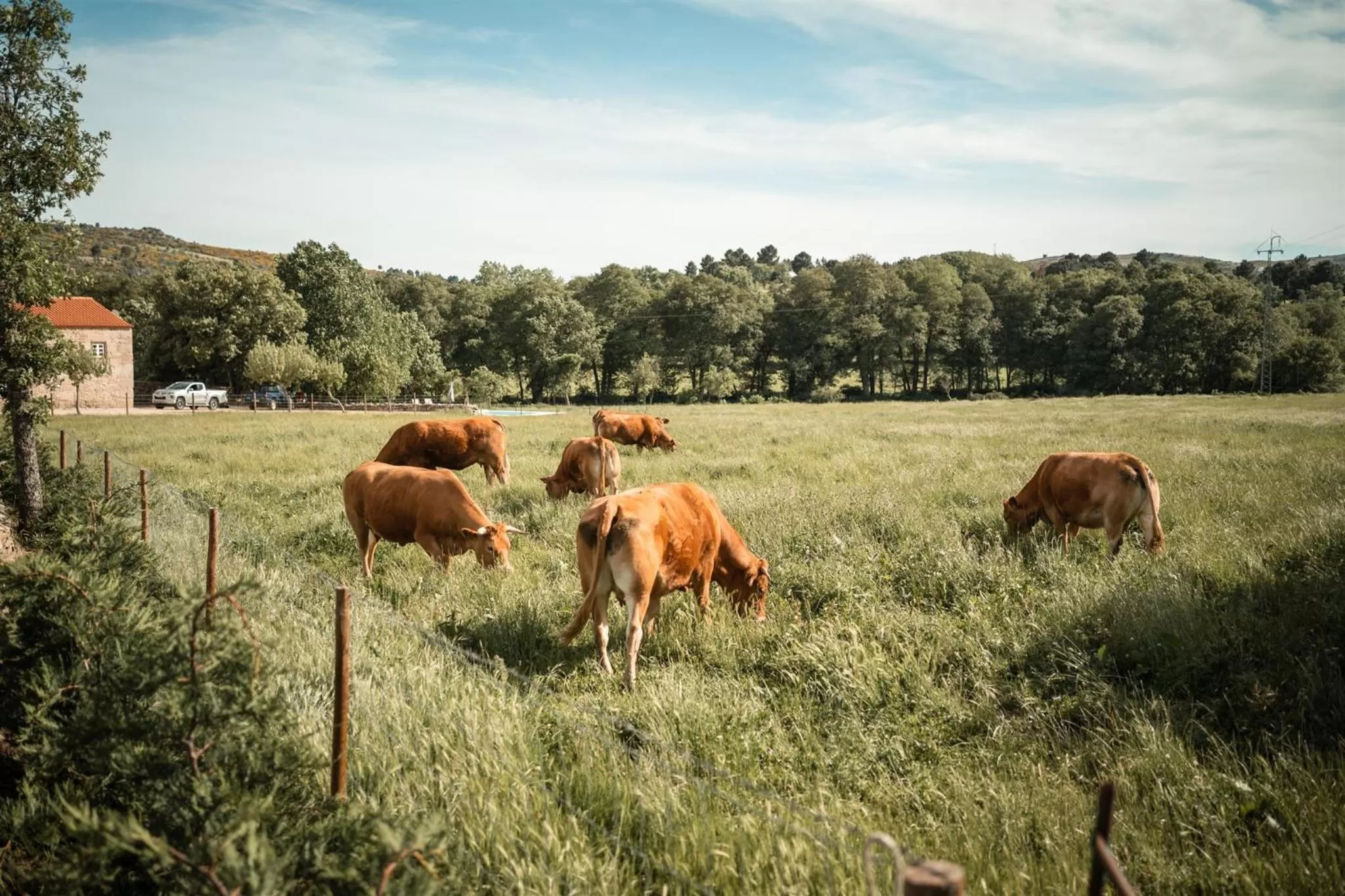 Quinta do Rio Noémi